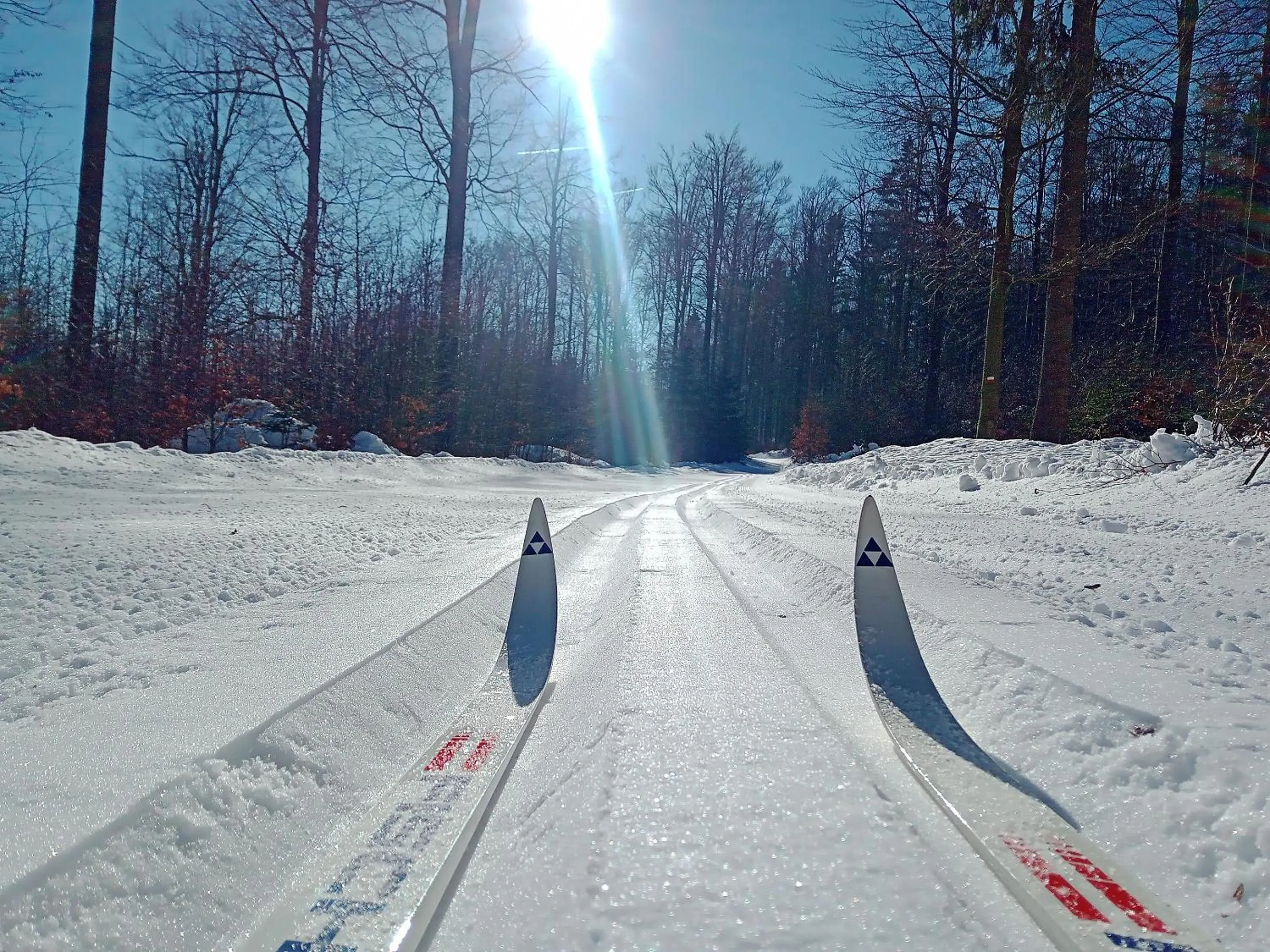 Winter in Landhotel Großeiberhof