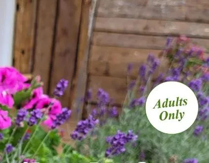 Property building in Landhotel Großeiberhof