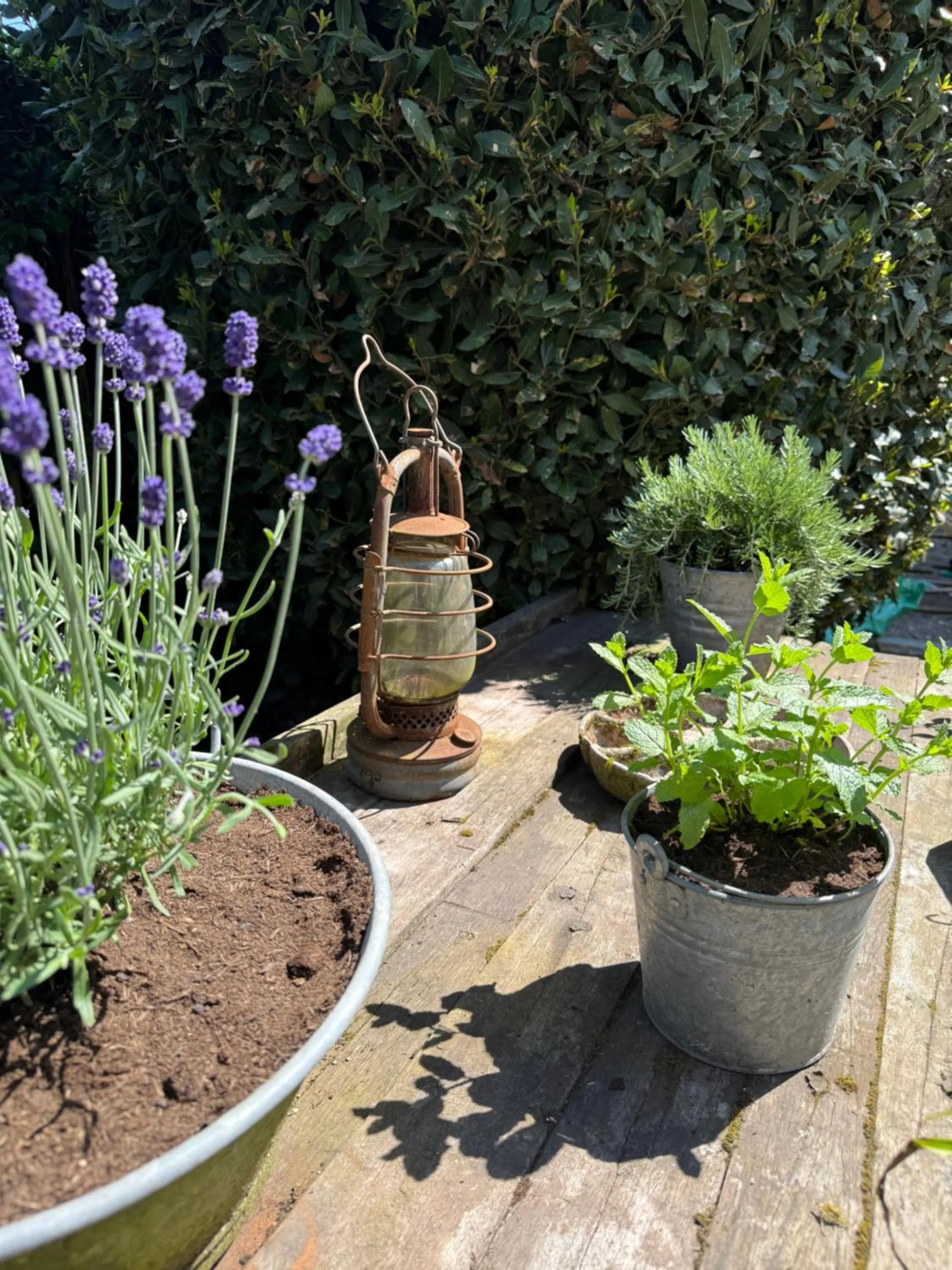 Inner courtyard view in Le Boutik Hotel