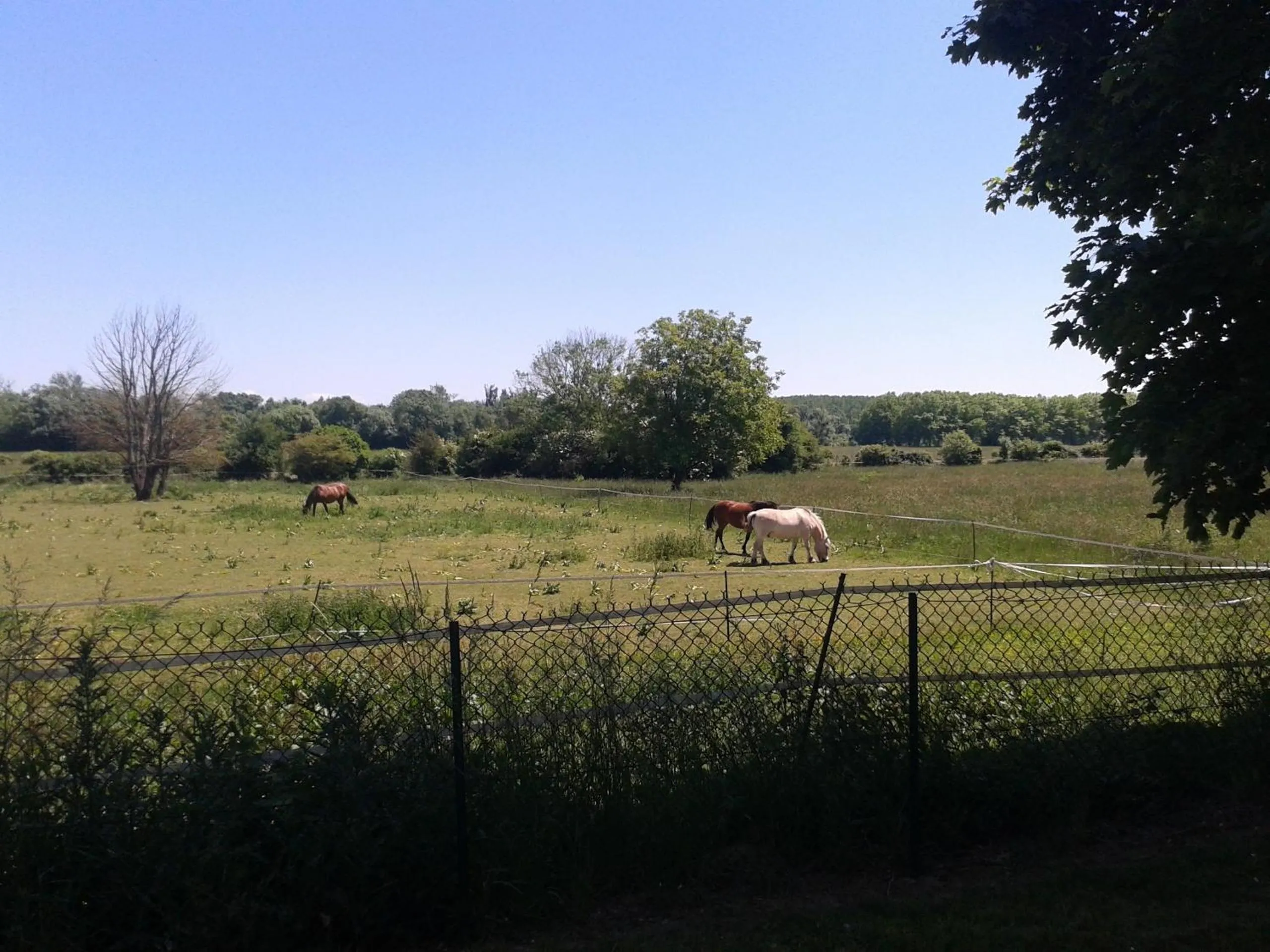 Facade/entrance in Hôtel inn design Sancé