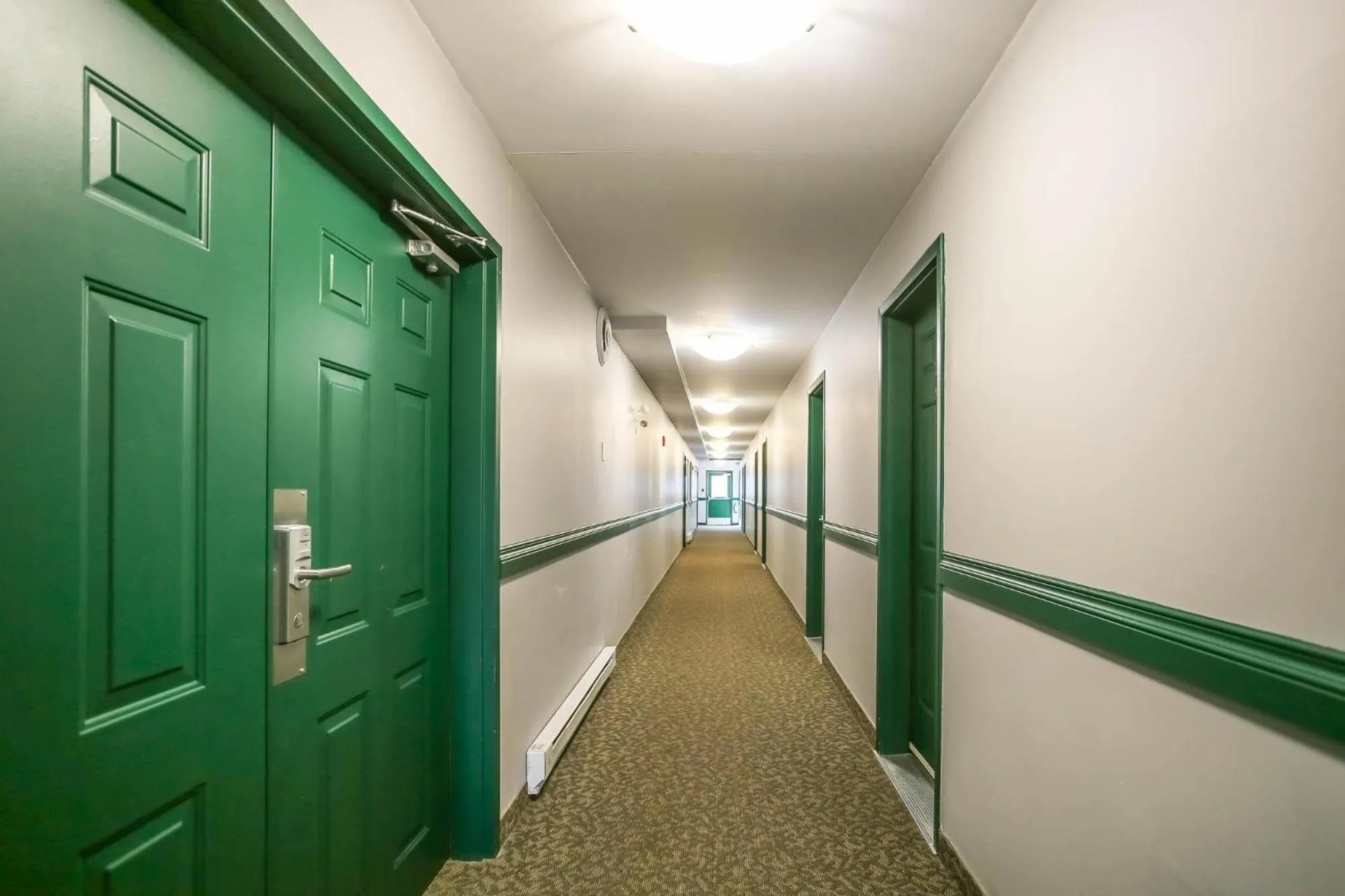 Area and facilities in Altona Hotel