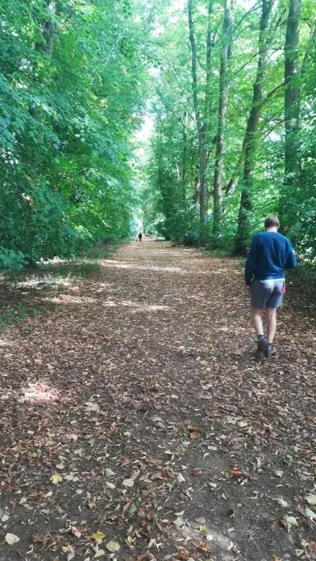 Twin Room with Private Shower Room in Sunnyside Annexe Twin Room with Private Shower Room in Sunnyside Annexe