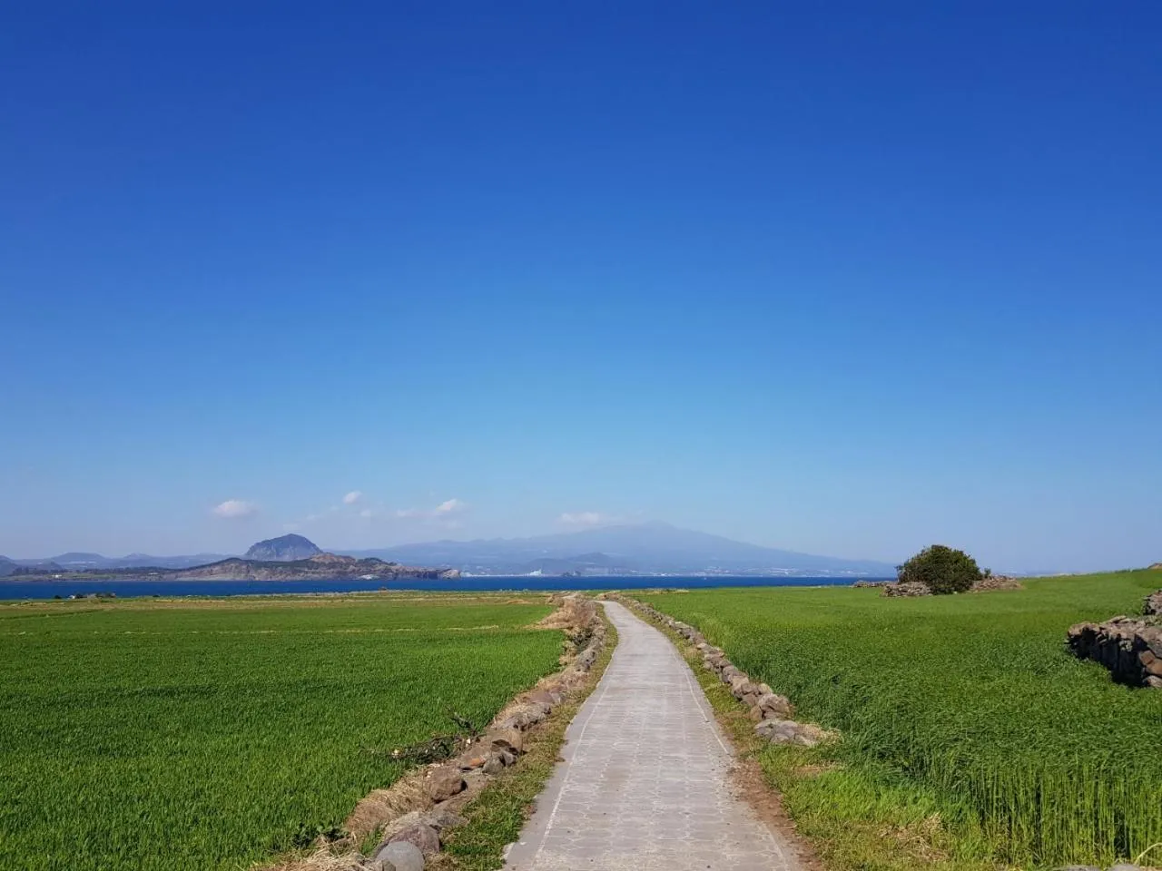Nearby landmark in Jeju Moseulpo Hotel
