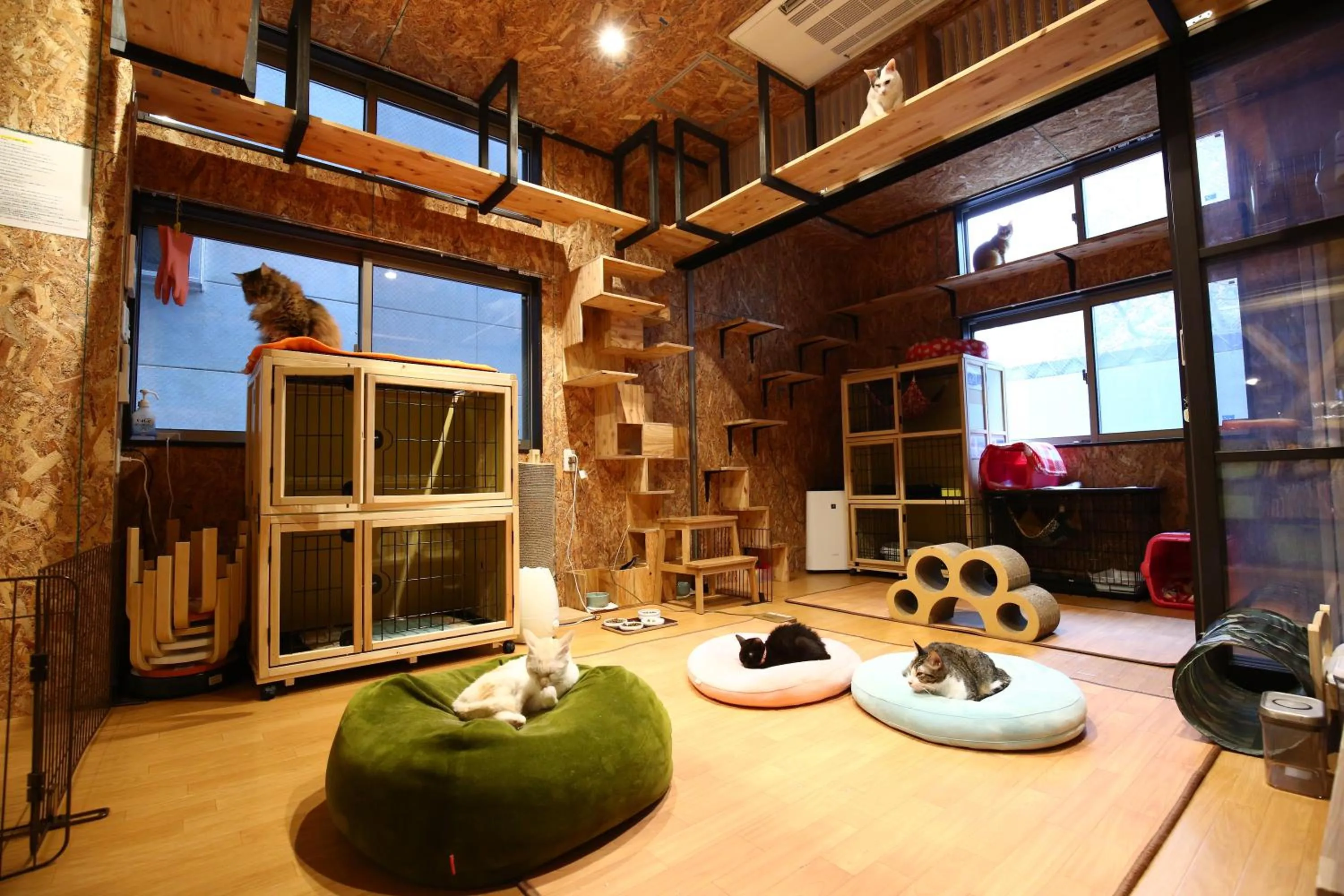 Area and facilities in Nekokura Hostel