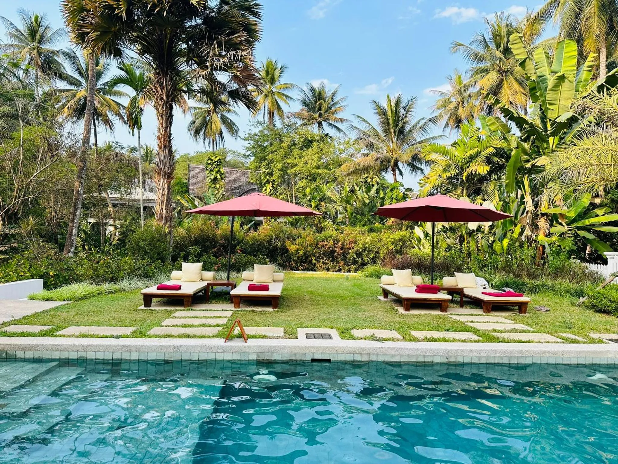 Swimming pool in Parasol Blanc