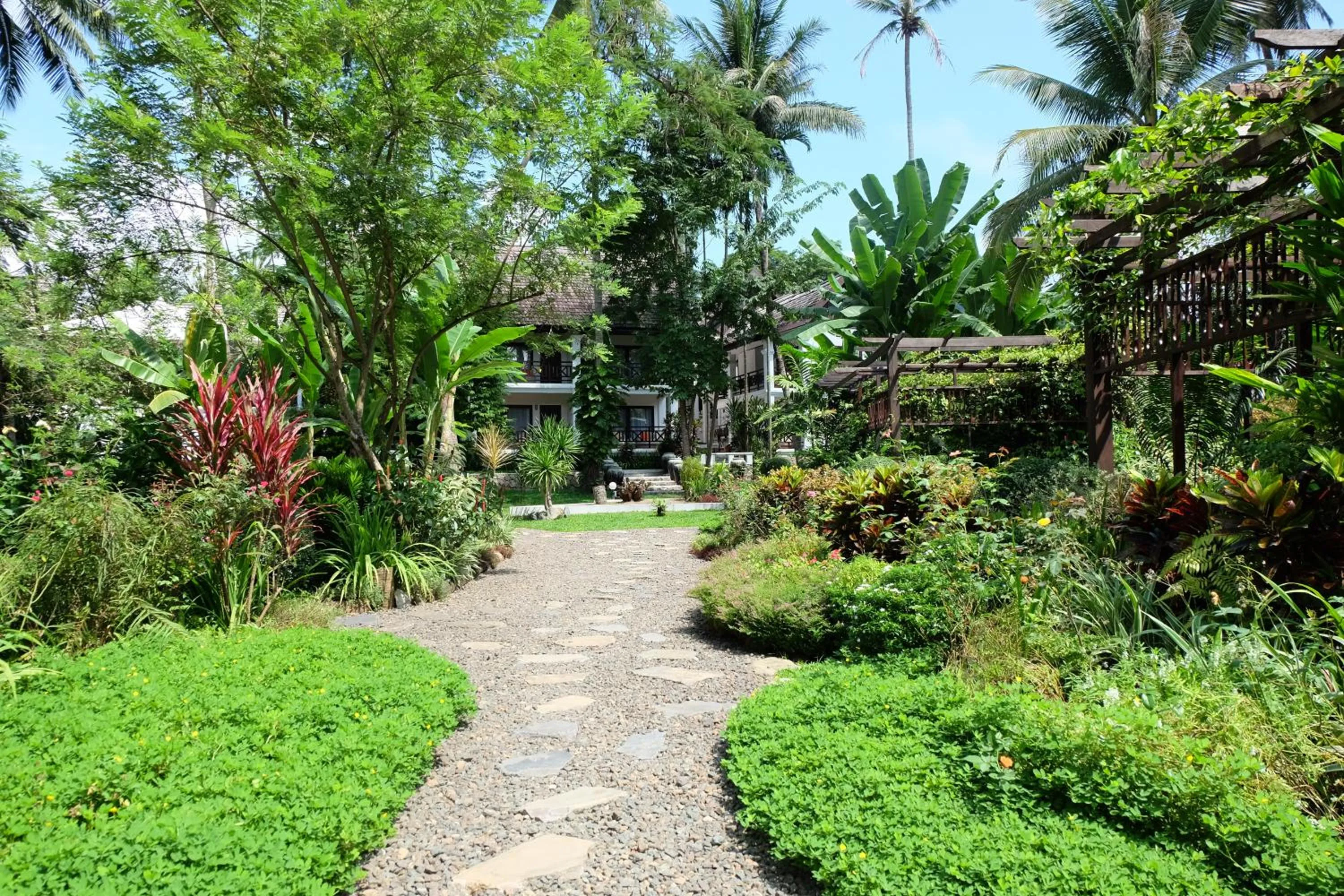 Garden in Parasol Blanc
