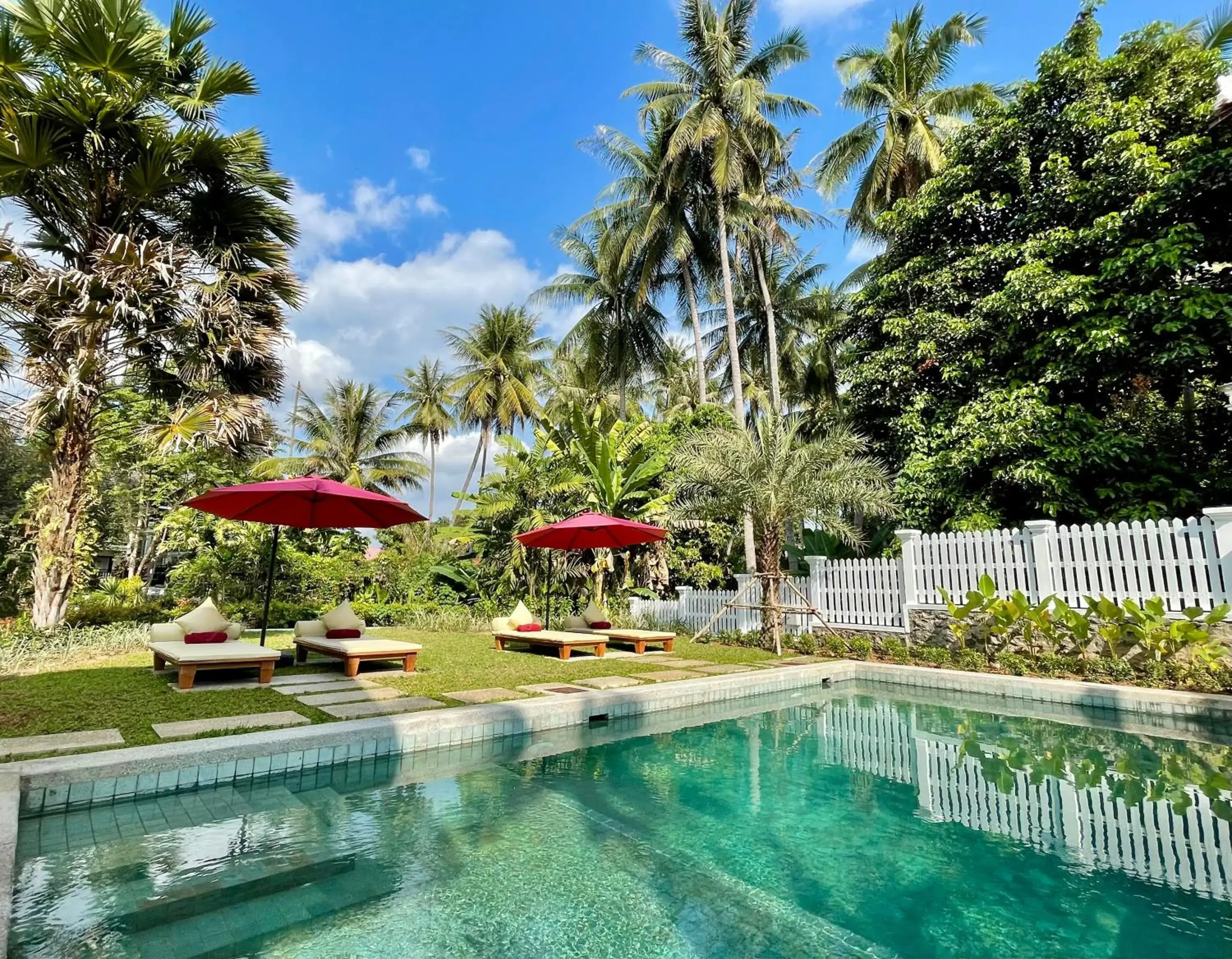 Parasol Blanc Parasol Blanc