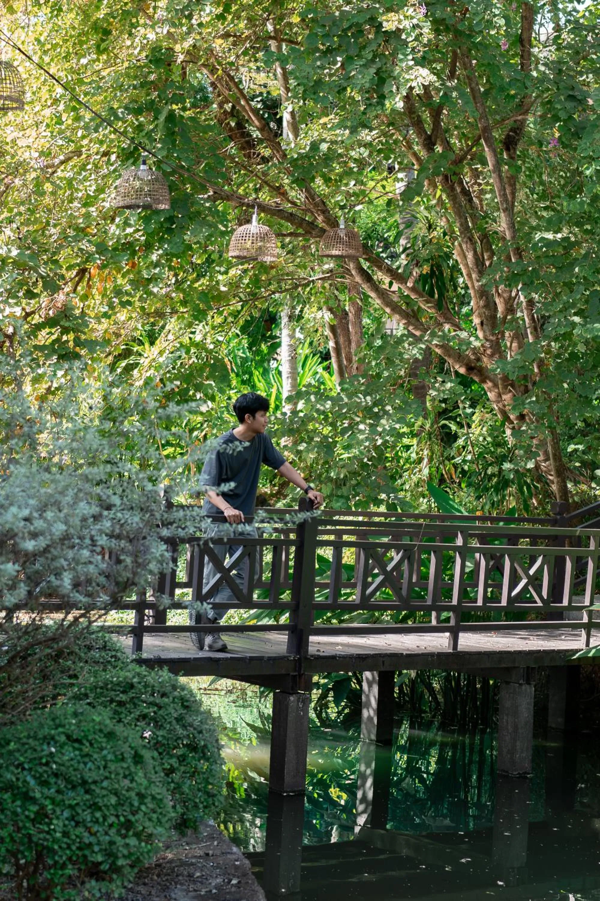 Garden in Parasol Blanc