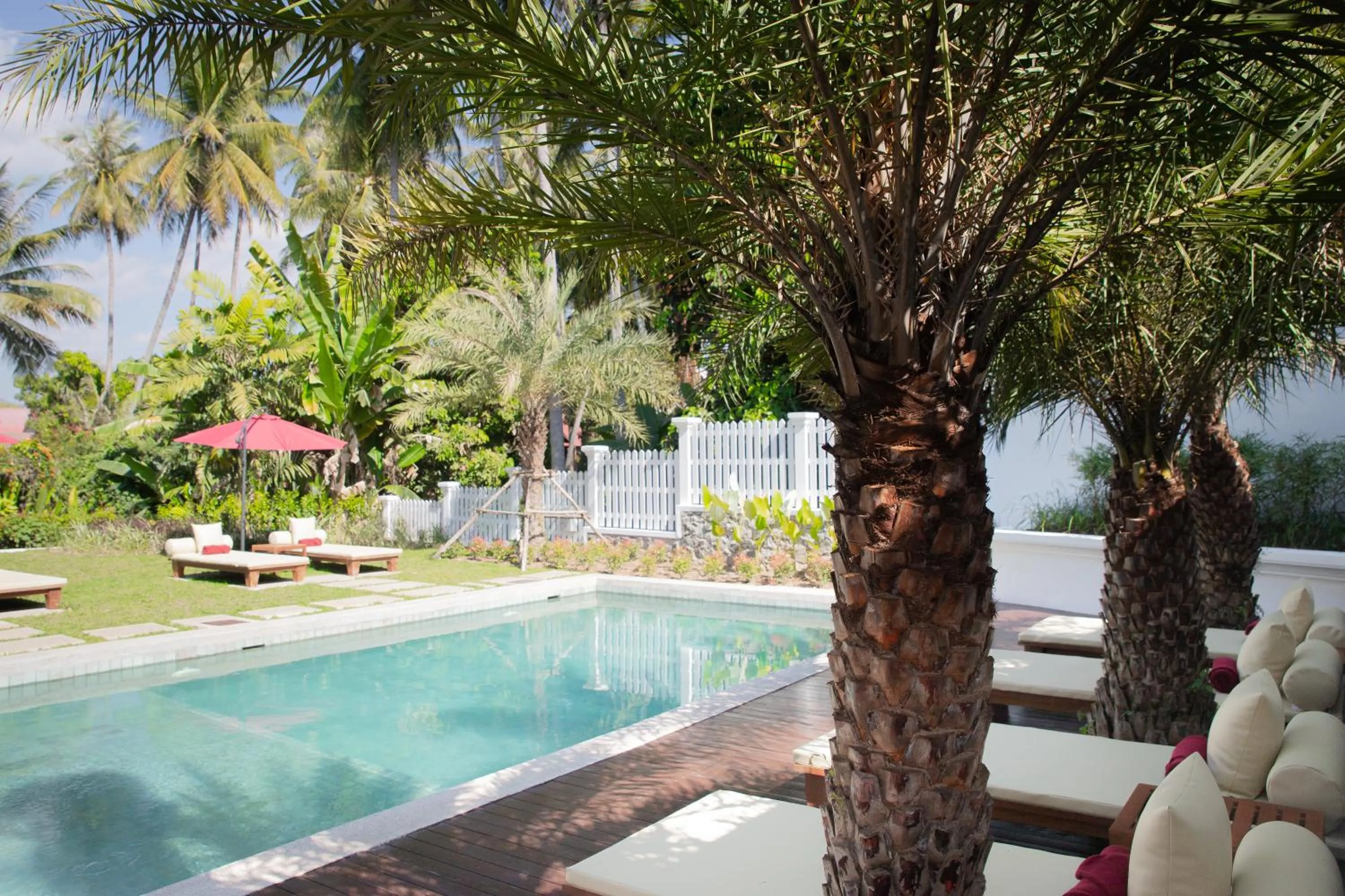 Swimming pool in Parasol Blanc