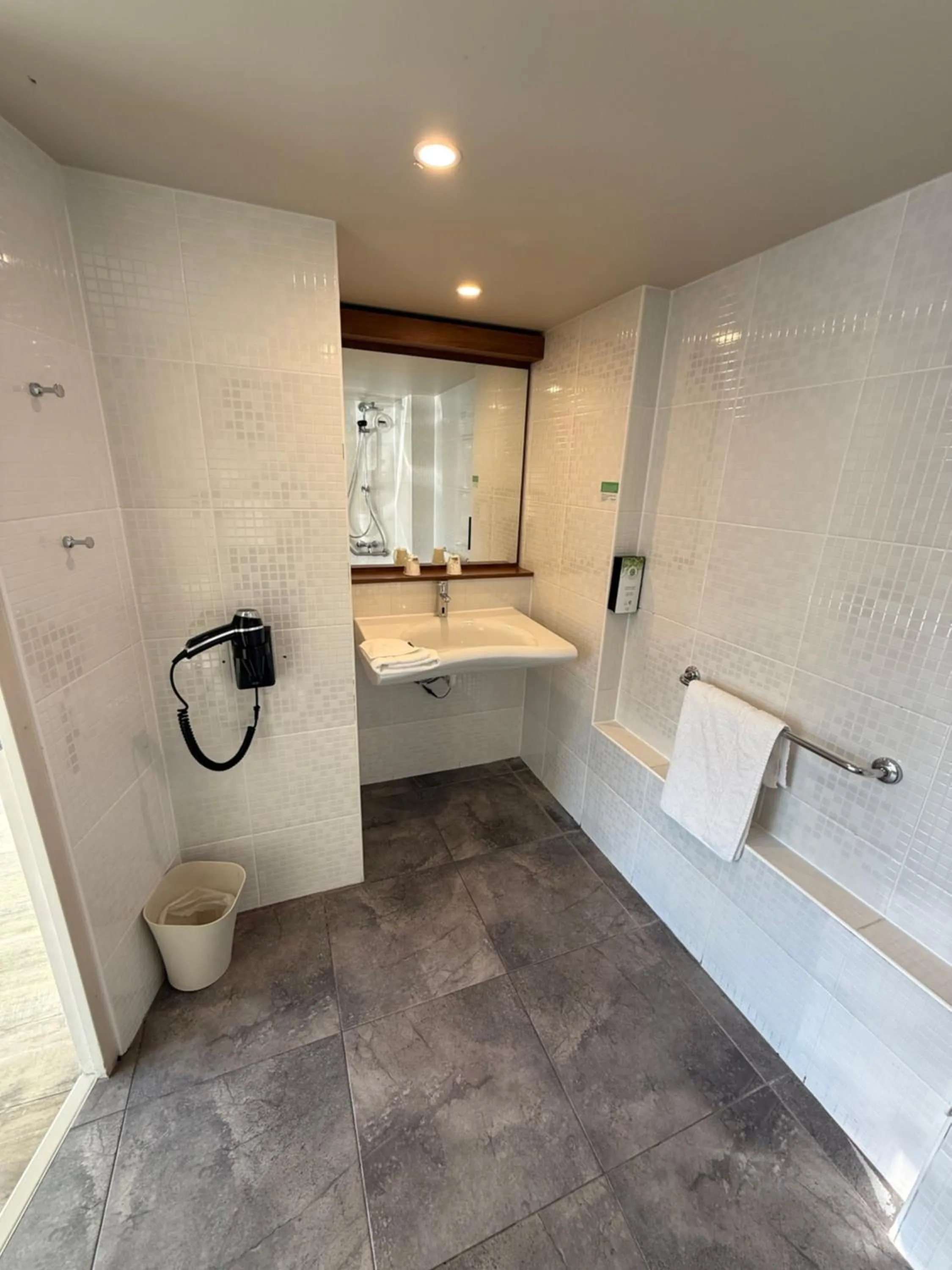 hair dryier in Hotel Morangis Orly