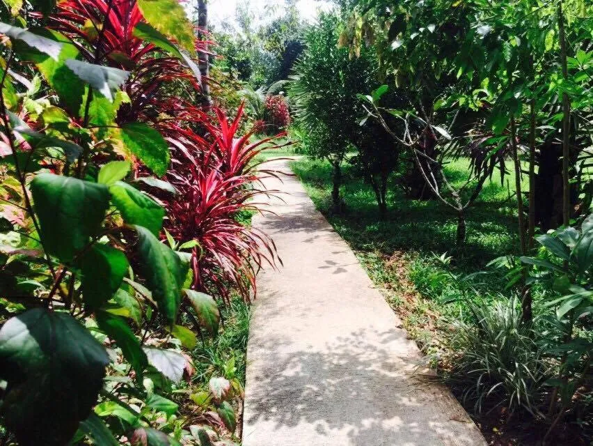 Natural landscape in Khao Sok Green Mountain View