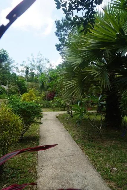 Property building in Khao Sok Green Mountain View