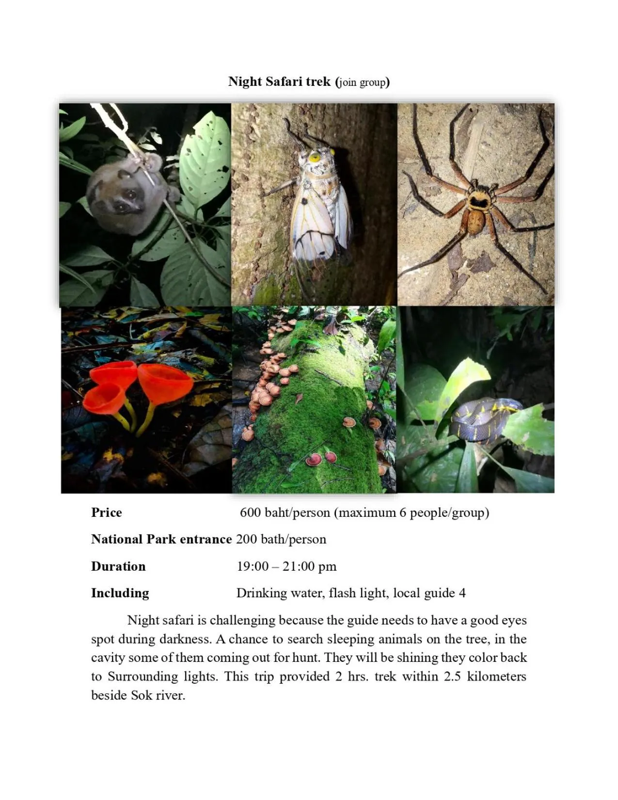 Activities in Khao Sok Green Mountain View