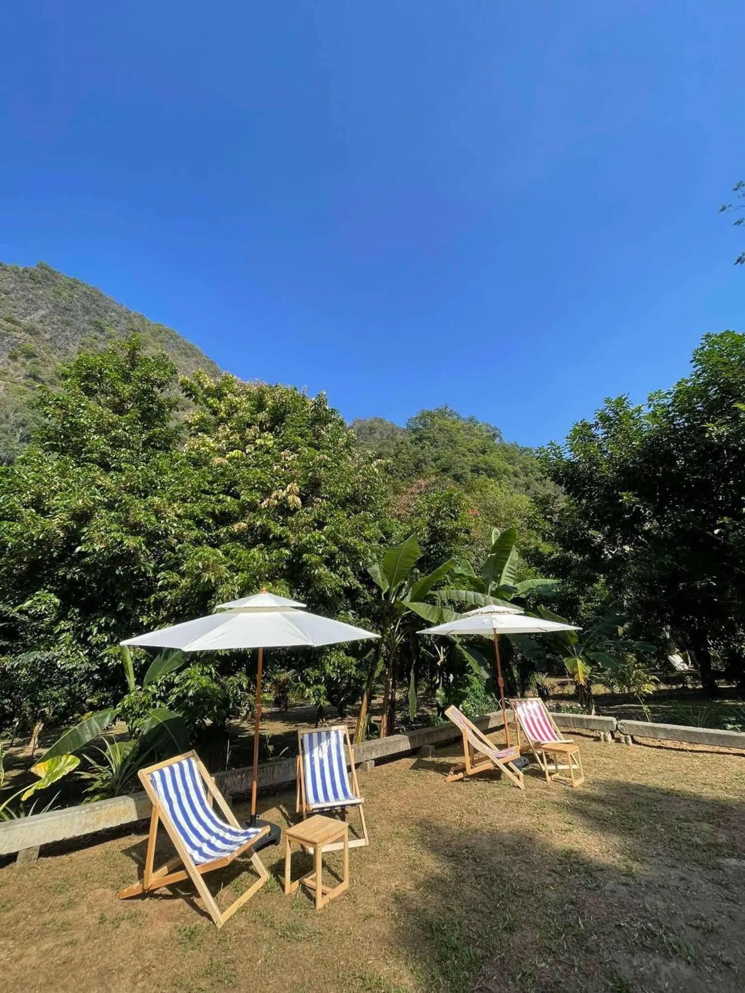 Balcony/Terrace in Khao Sok Green Mountain View