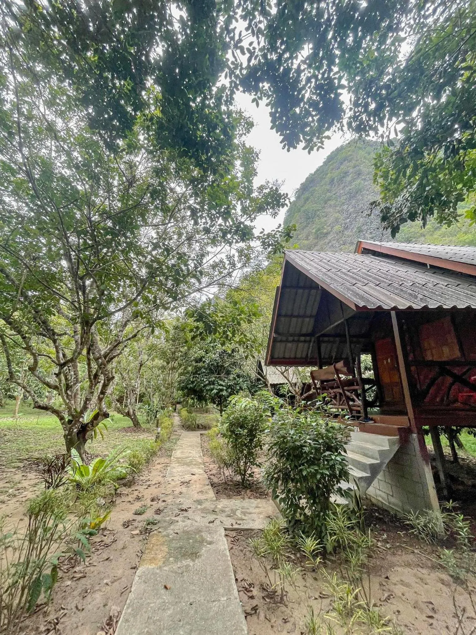 Property building in Khao Sok Green Mountain View