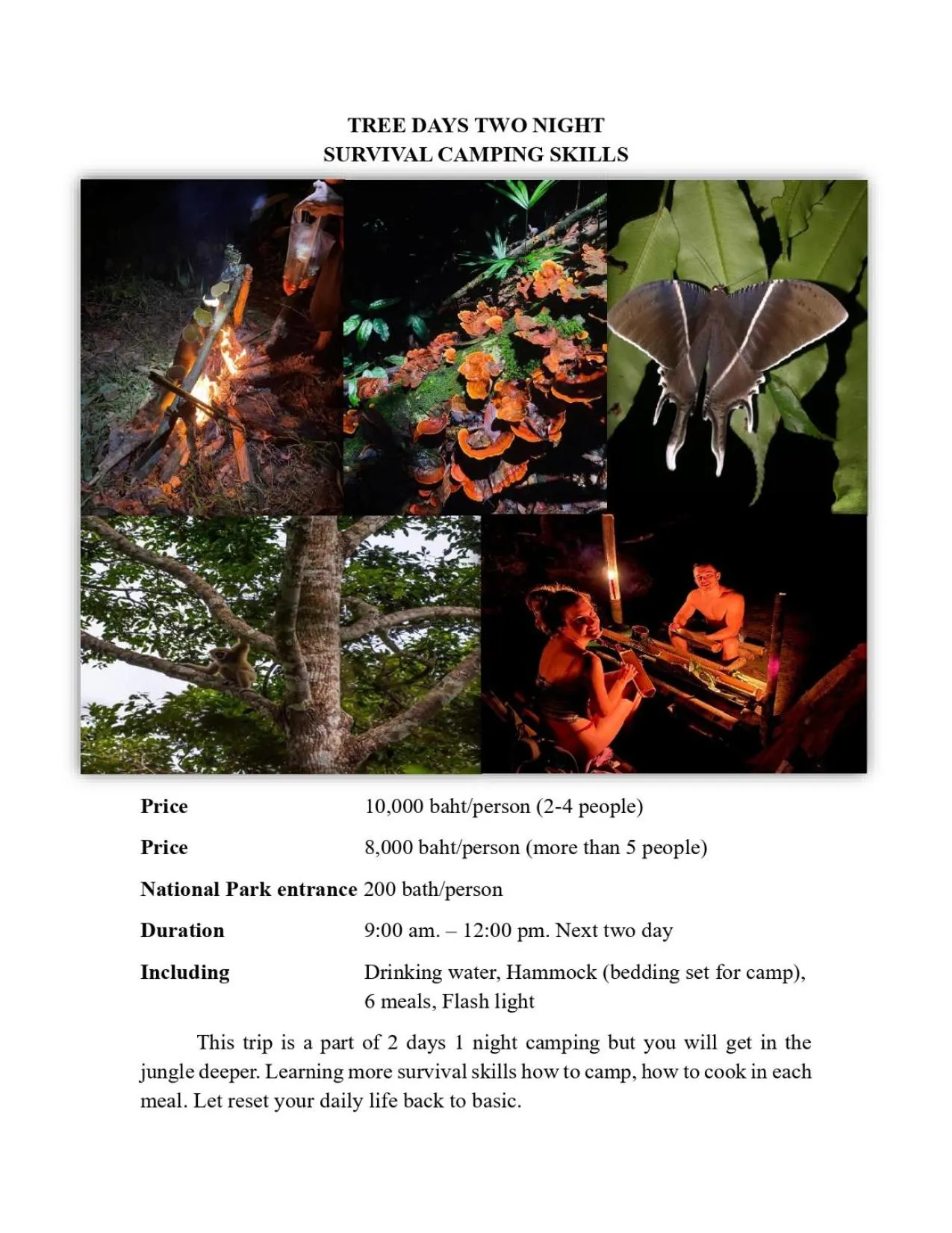 Activities in Khao Sok Green Mountain View