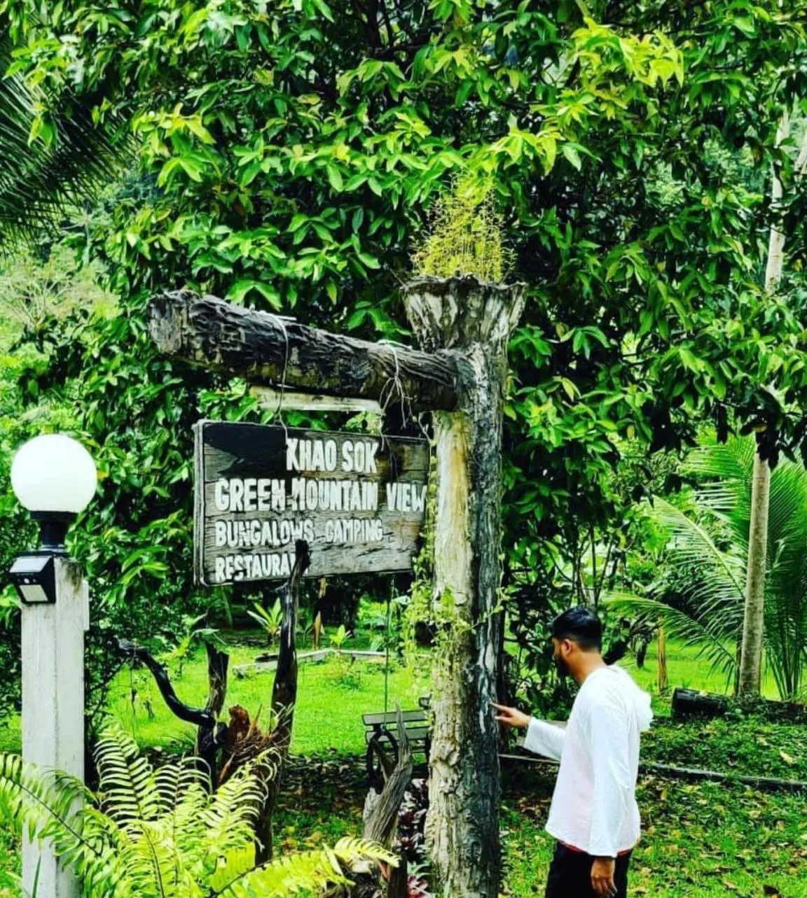 Natural landscape in Khao Sok Green Mountain View