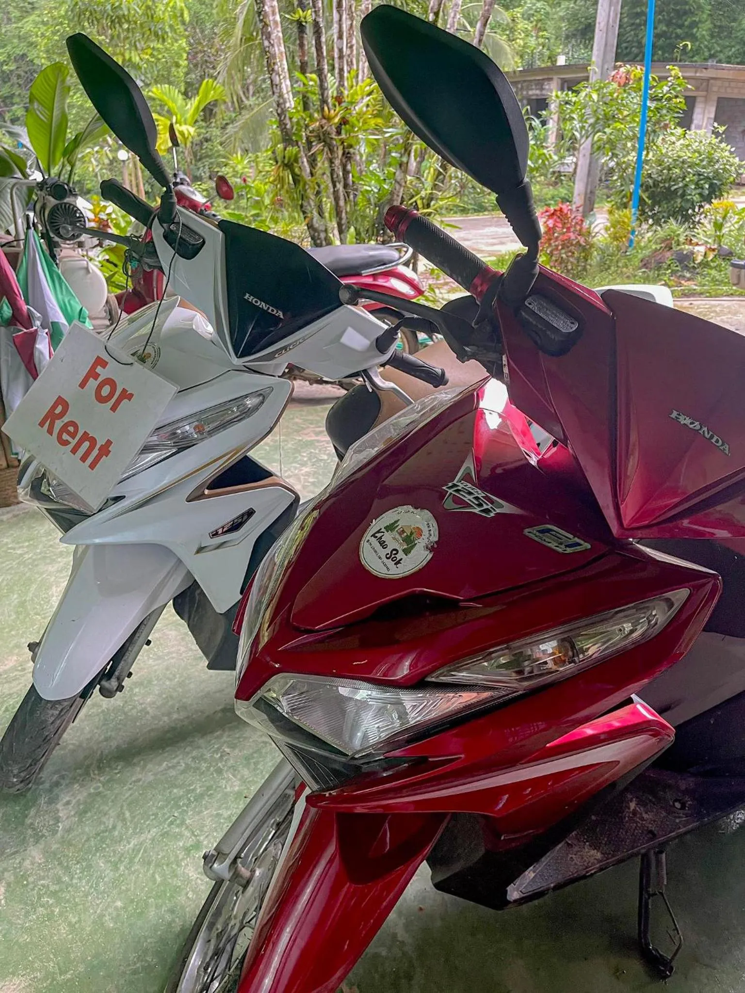 Khao Sok Green Mountain View