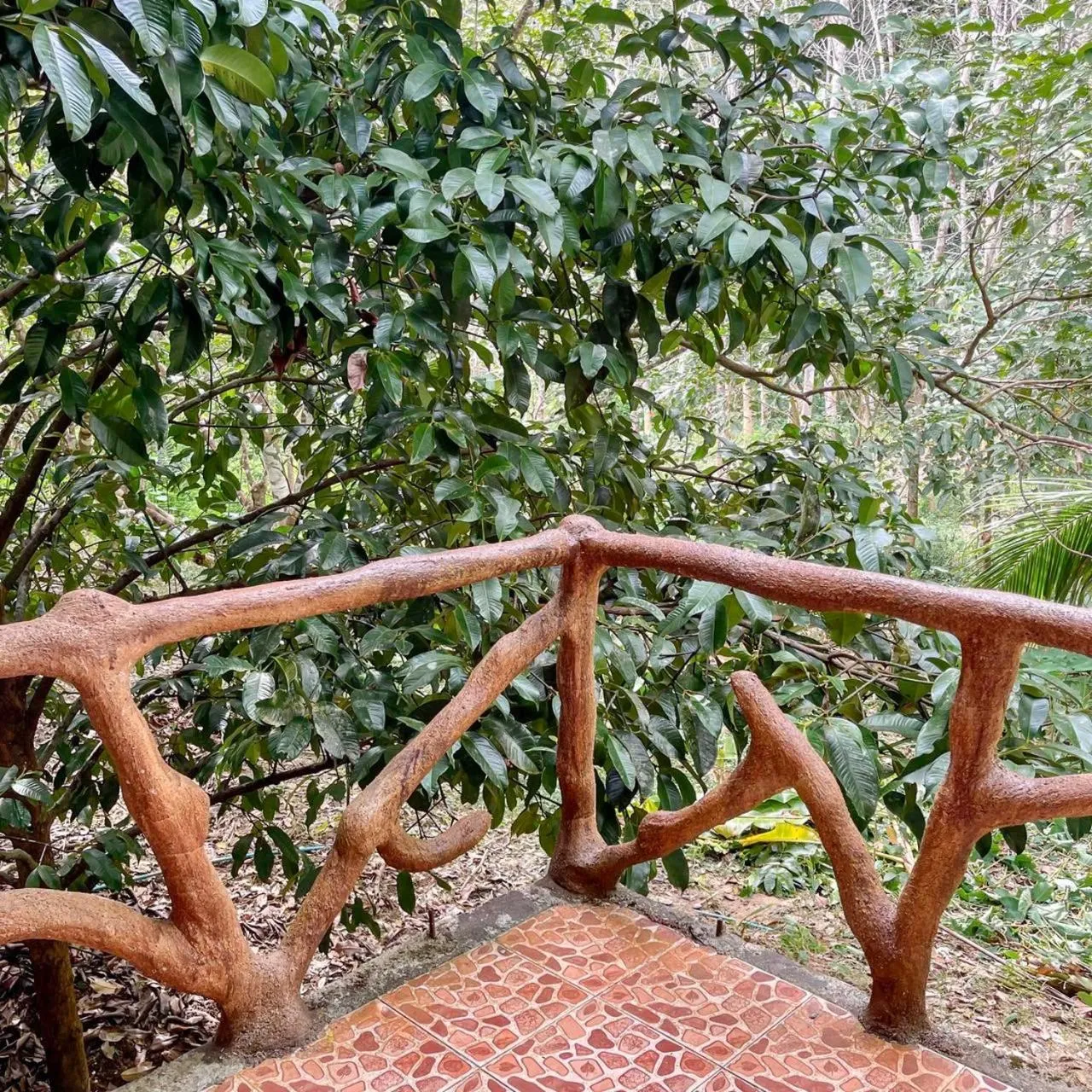 Natural landscape in Khao Sok Green Mountain View