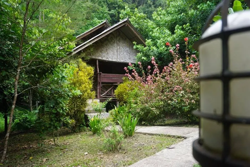 Property building in Khao Sok Green Mountain View