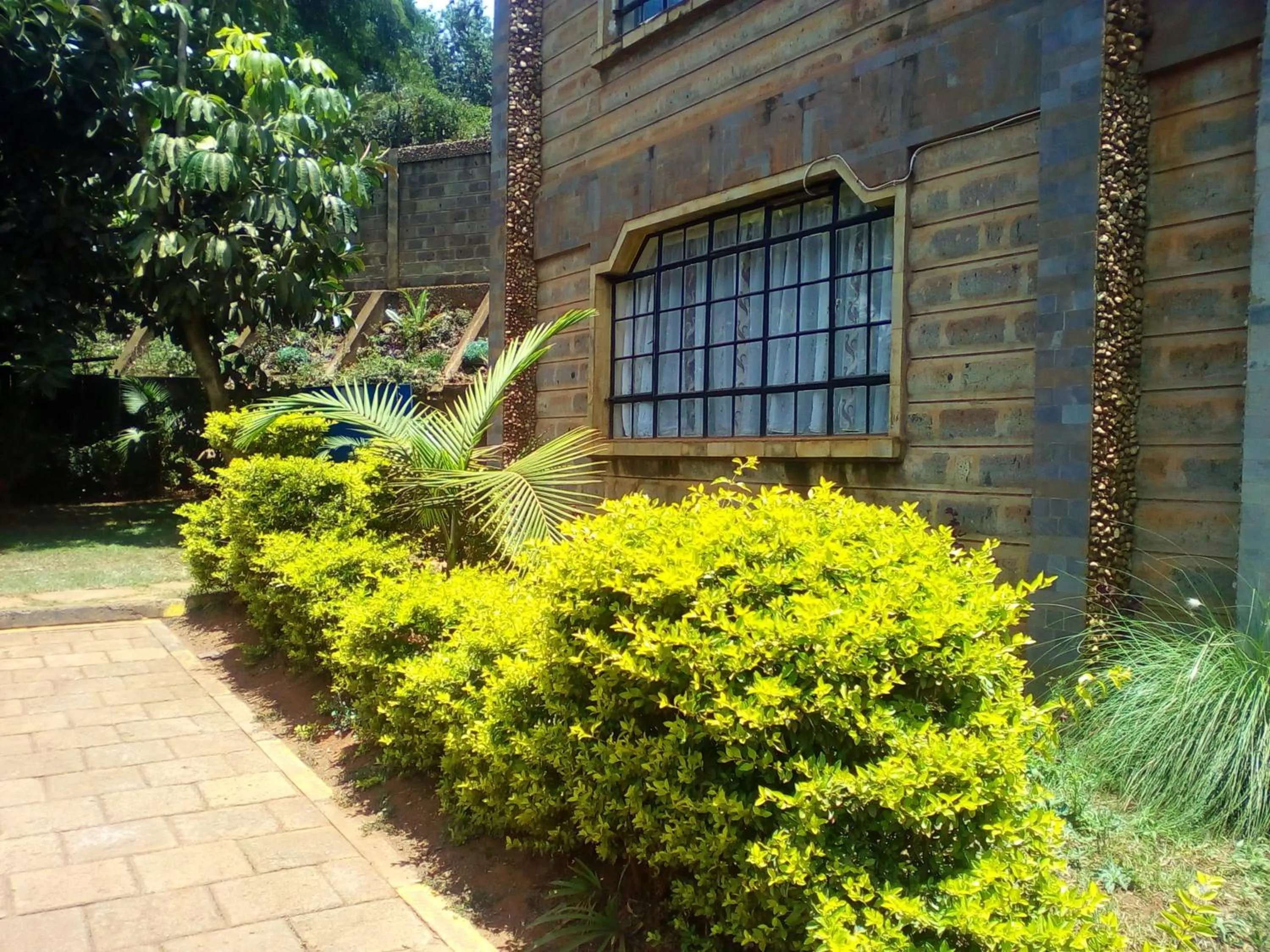 Garden in Sherry Homes - Kwetu