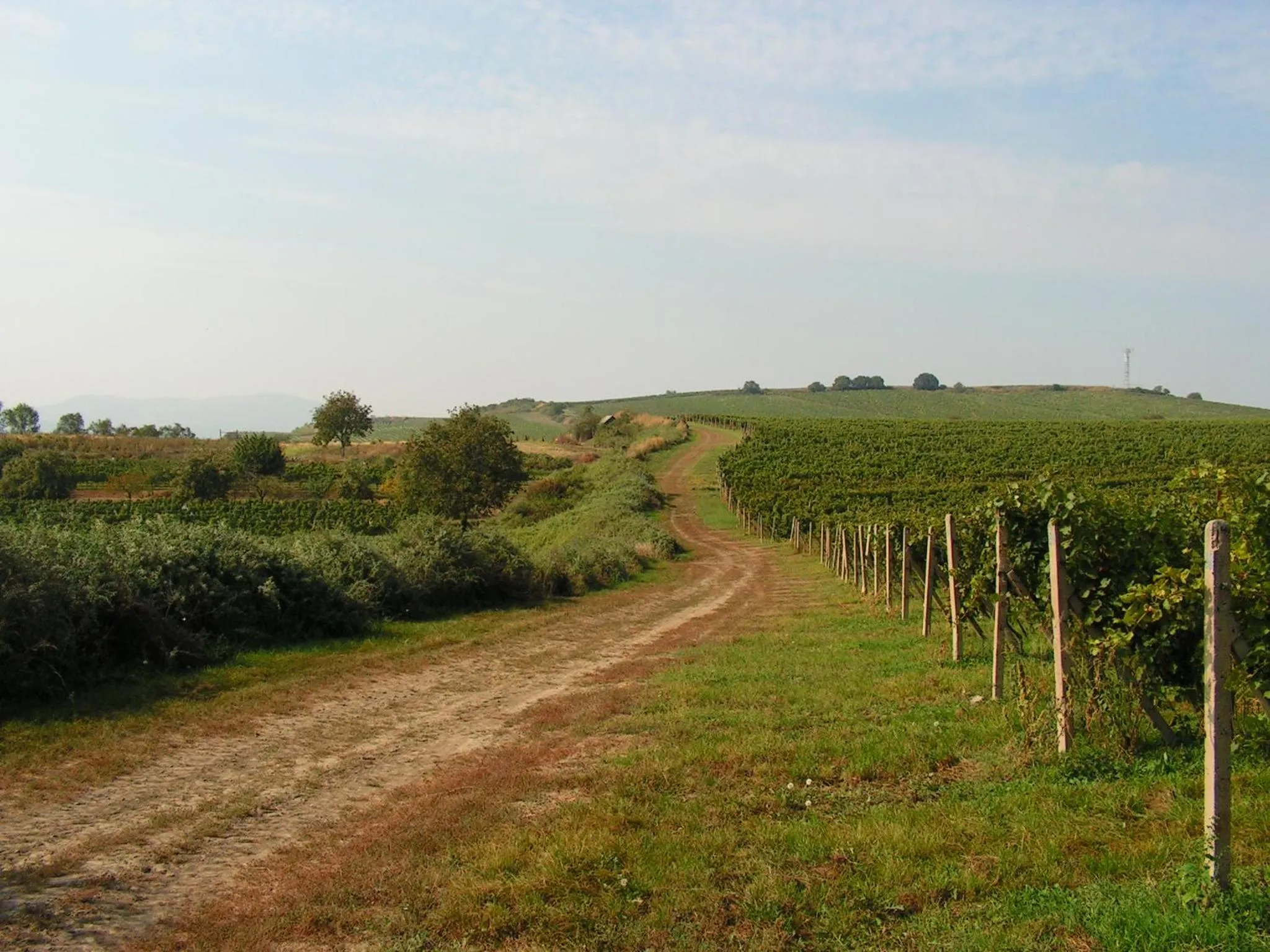 Hiking in Apartmány Fojtova studna
