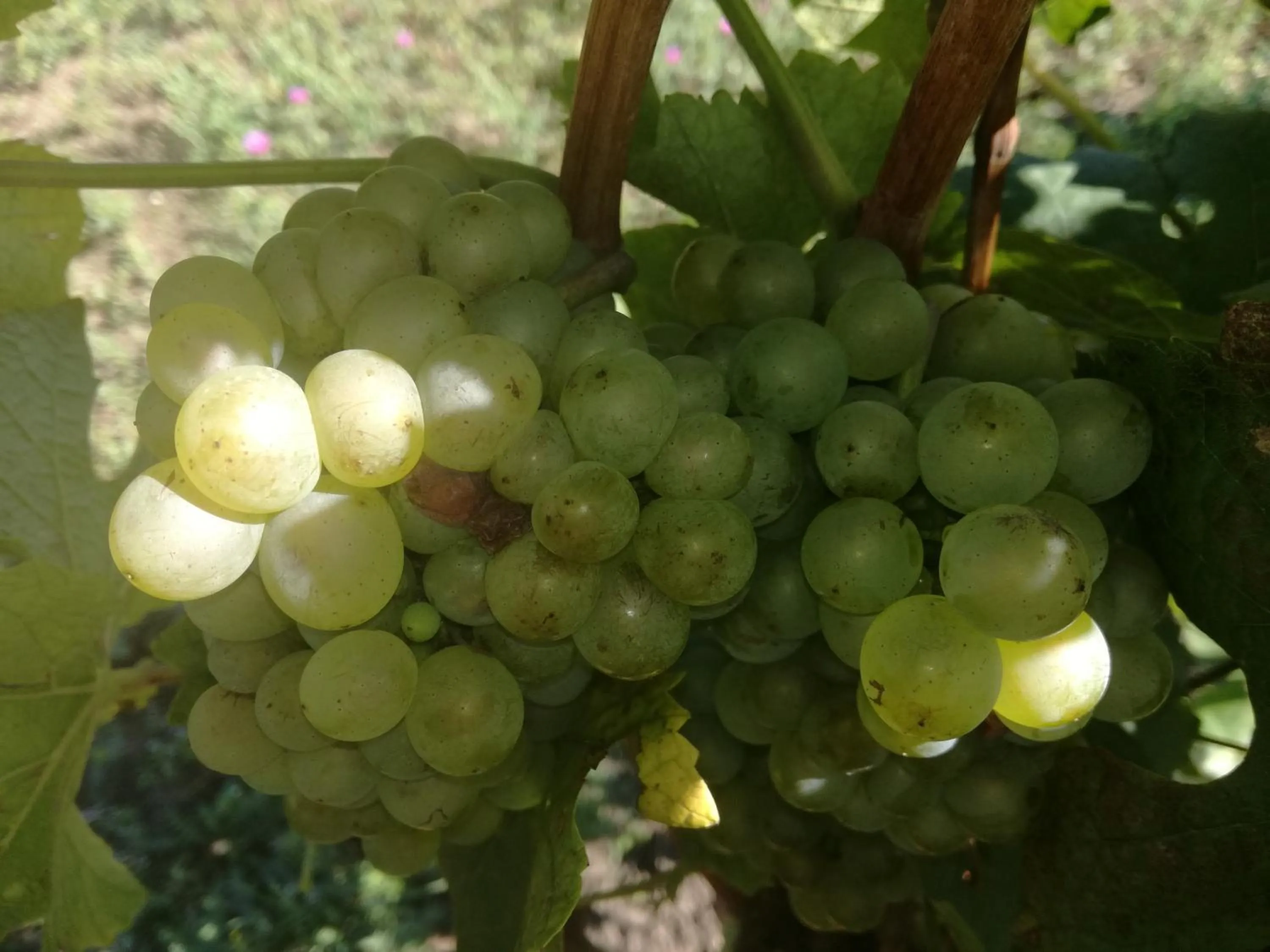 Off site in Apartmány Fojtova studna