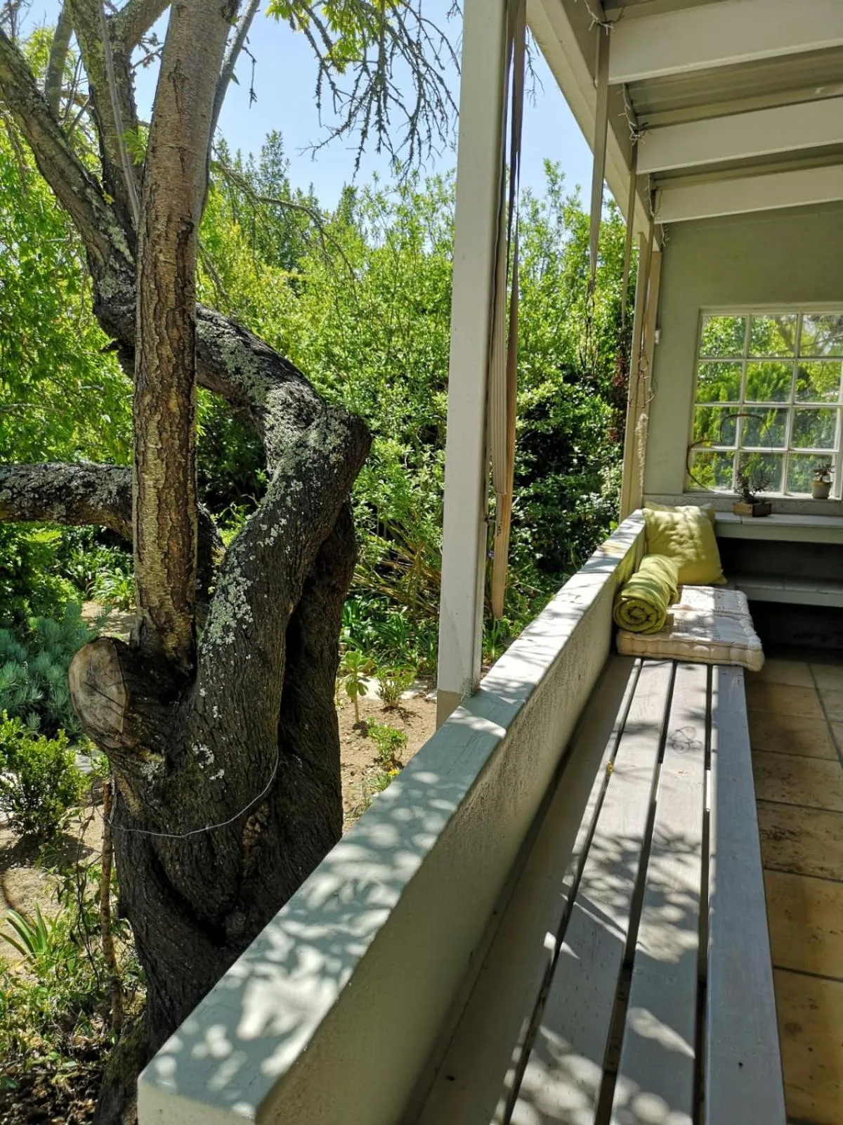 Patio in Almond Cottage Bed & Breakfast