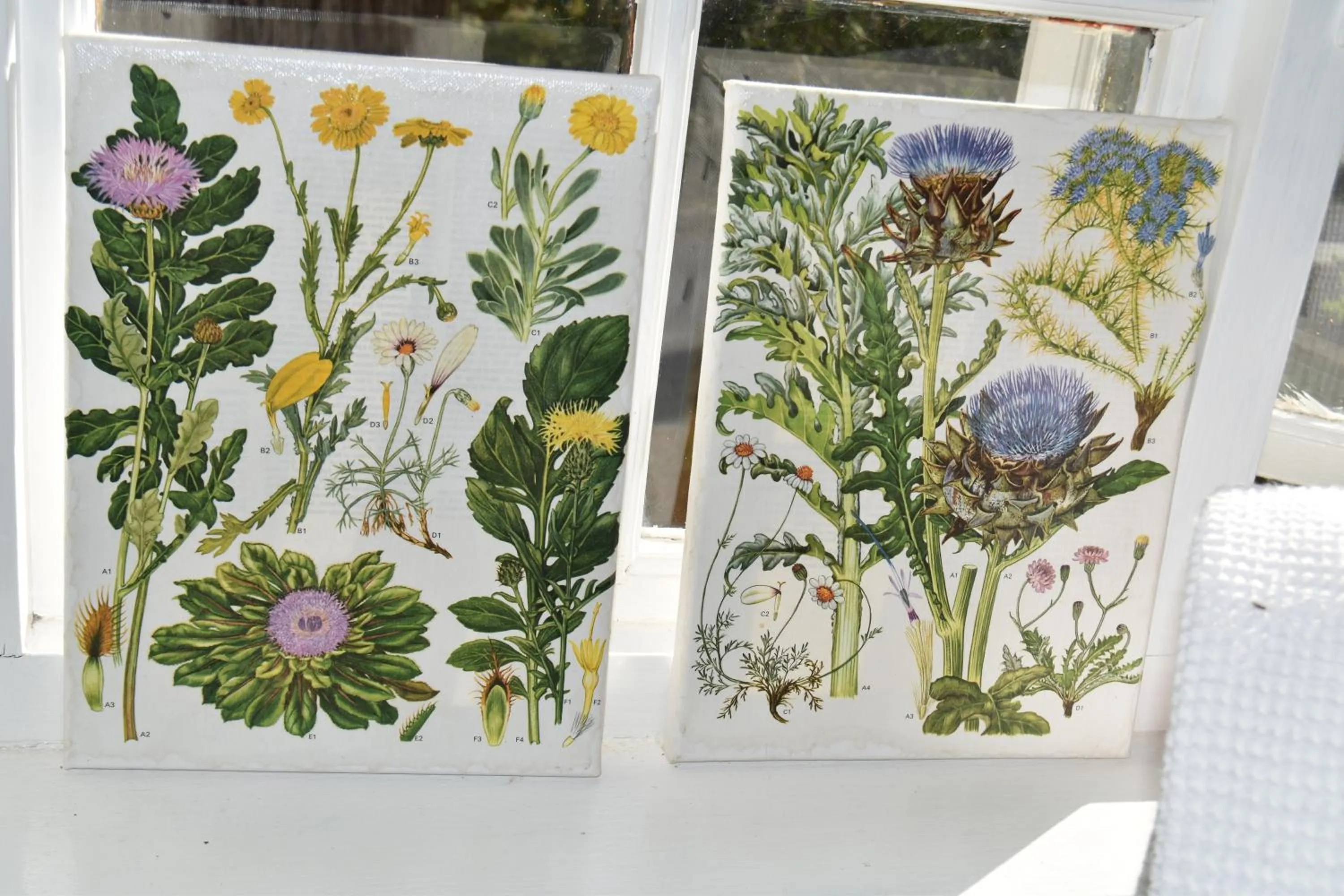 Bathroom in Almond Cottage Bed & Breakfast