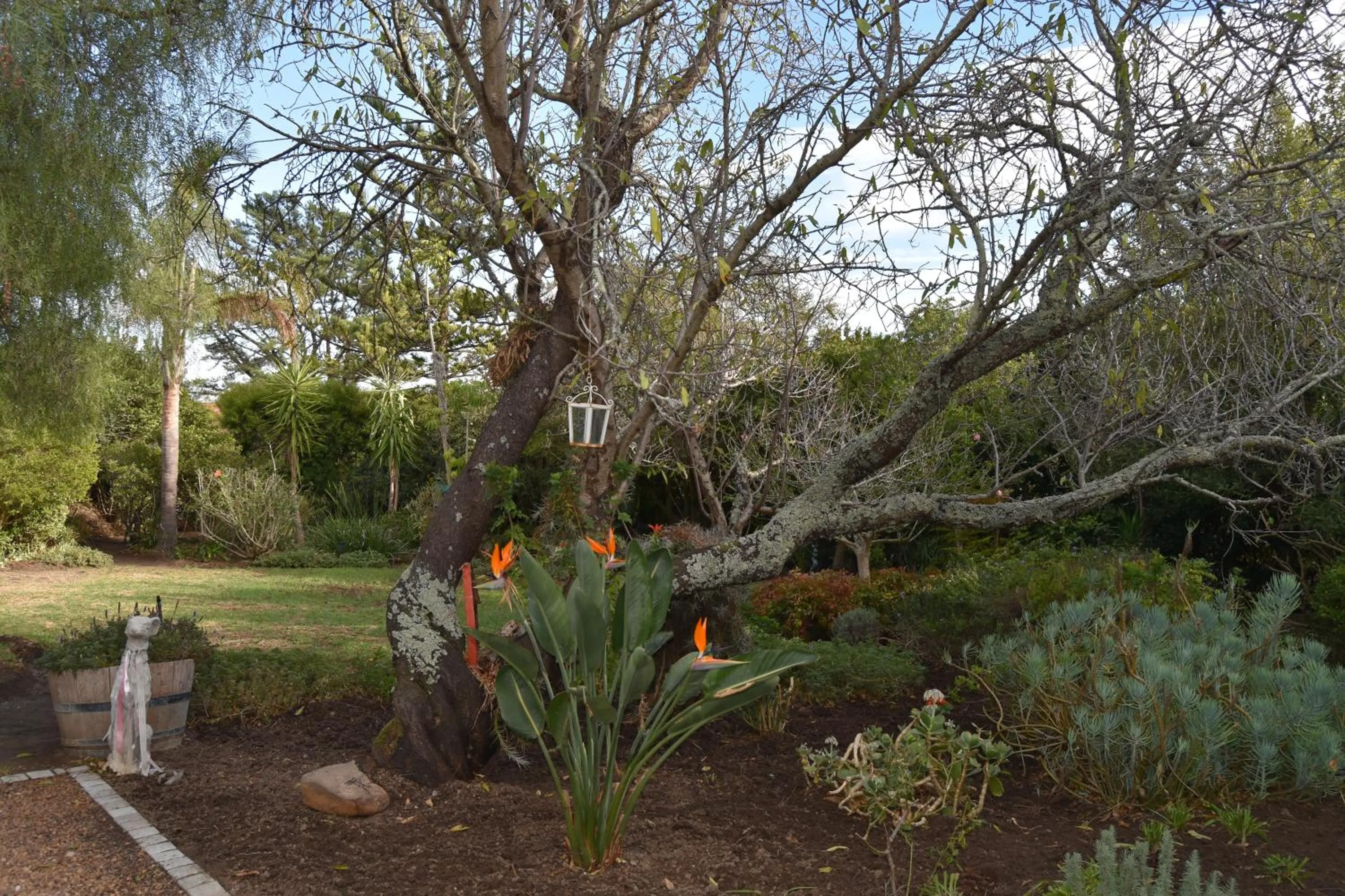 BBQ facilities in Almond Cottage Bed & Breakfast