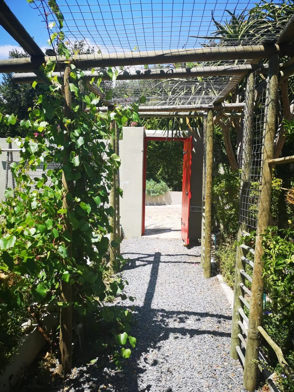 Garden in Almond Cottage Bed & Breakfast