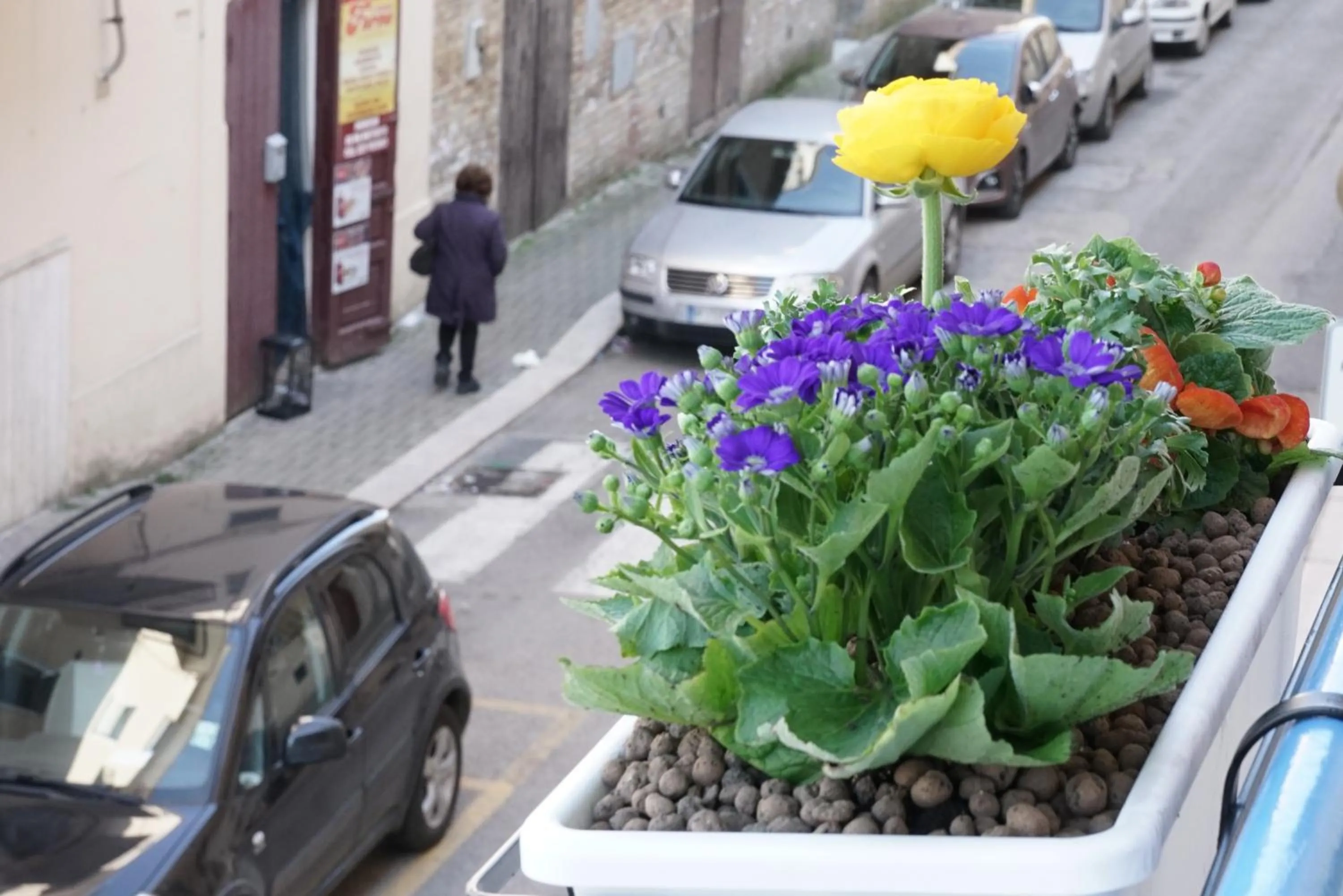 Neighbourhood in La Casa dei Sogni