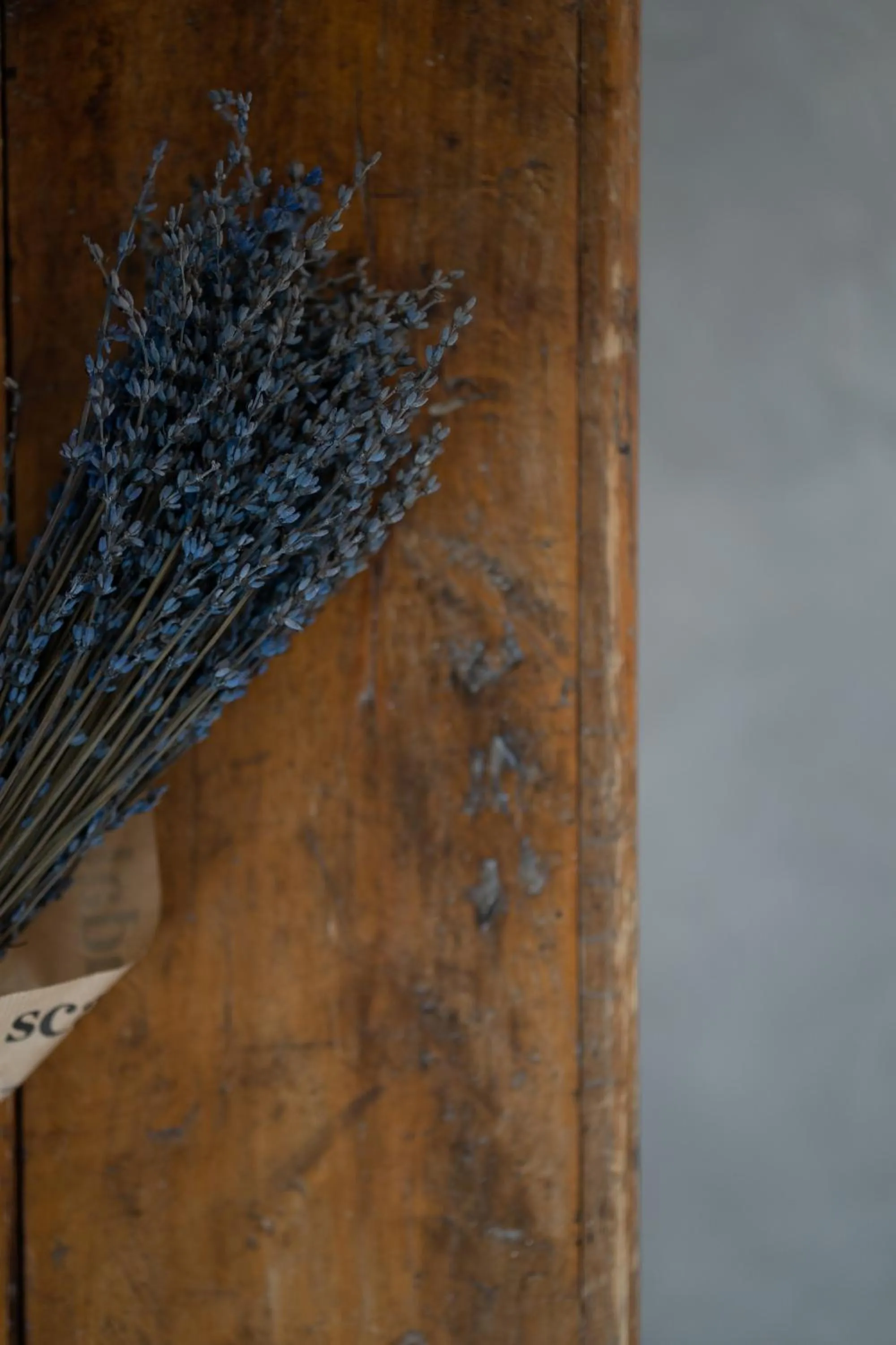 Decorative detail in Kastro Mansion