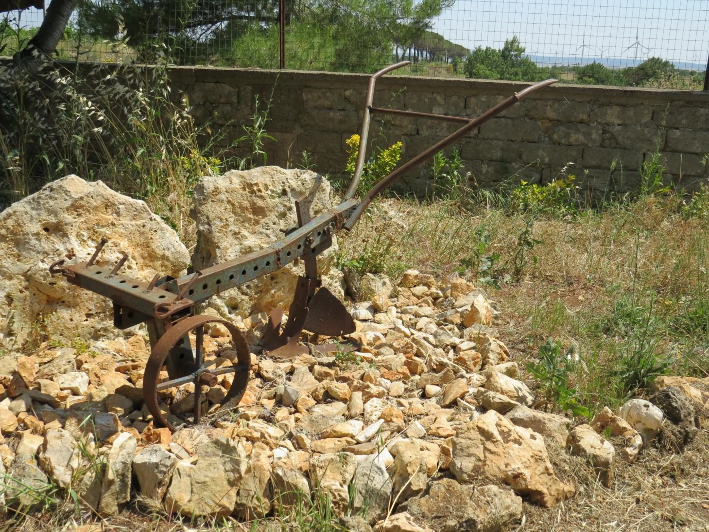 Garden in Villa 2 Fields