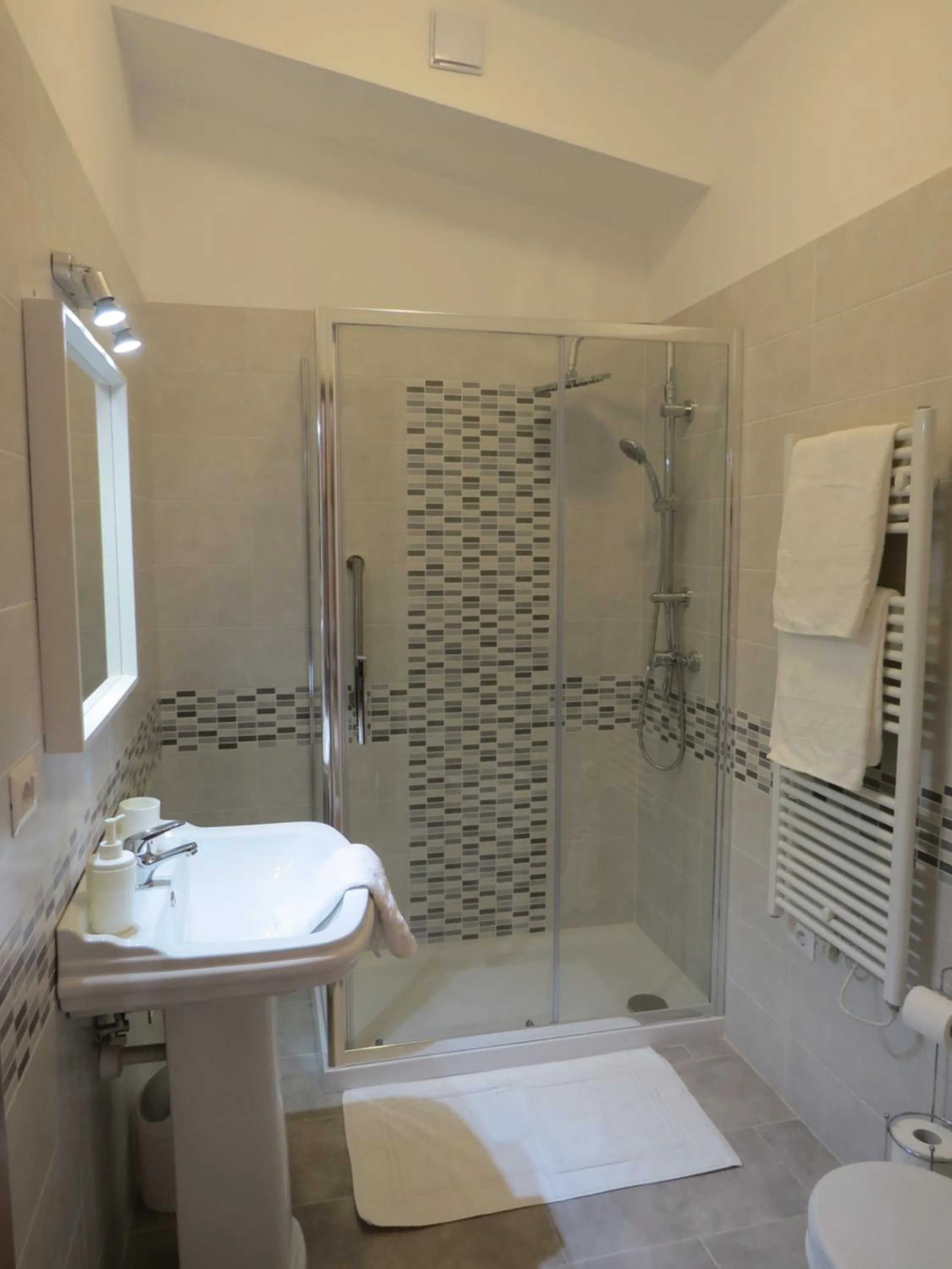 Shower in Villa 2 Fields