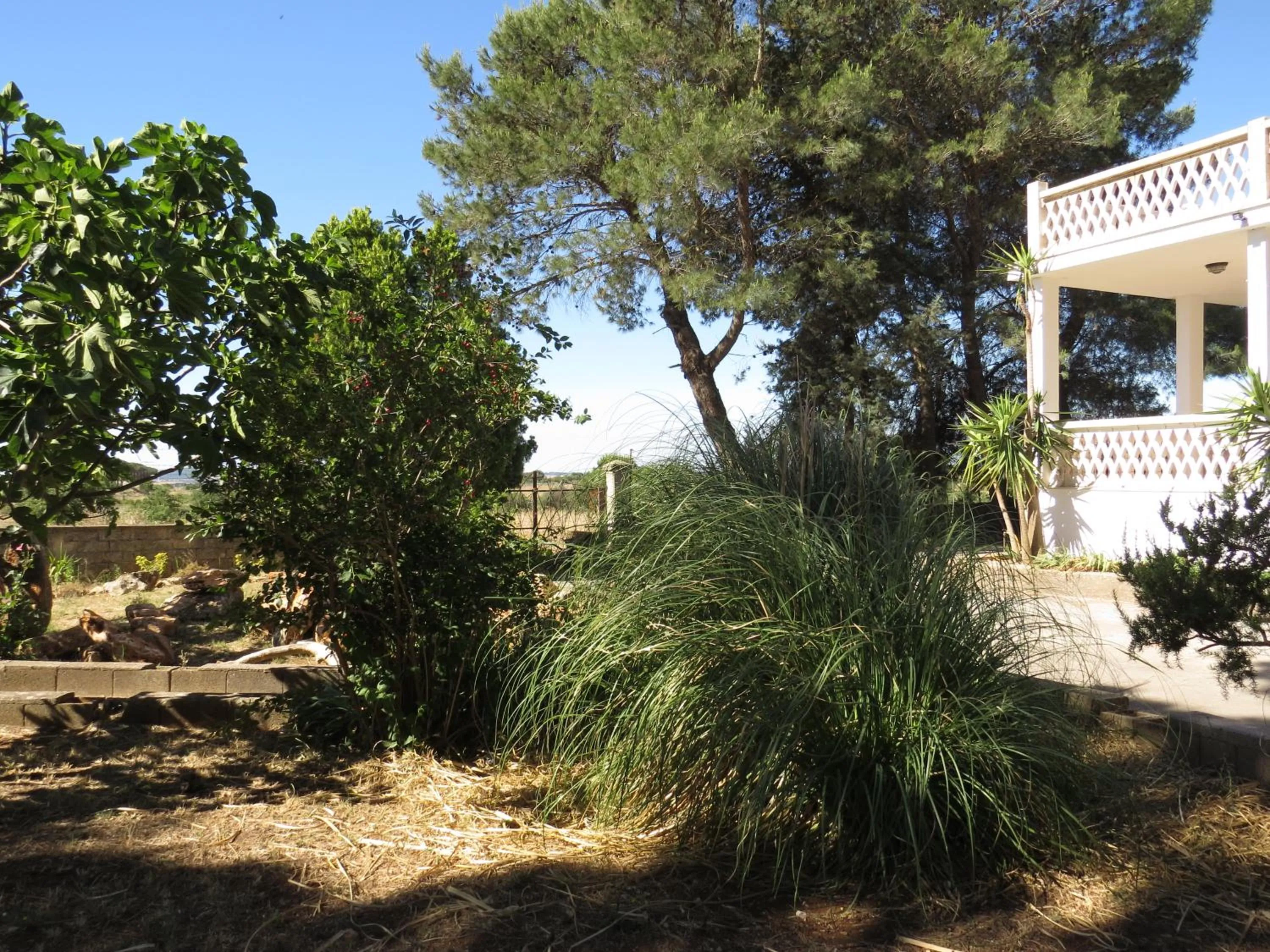 Garden in Villa 2 Fields