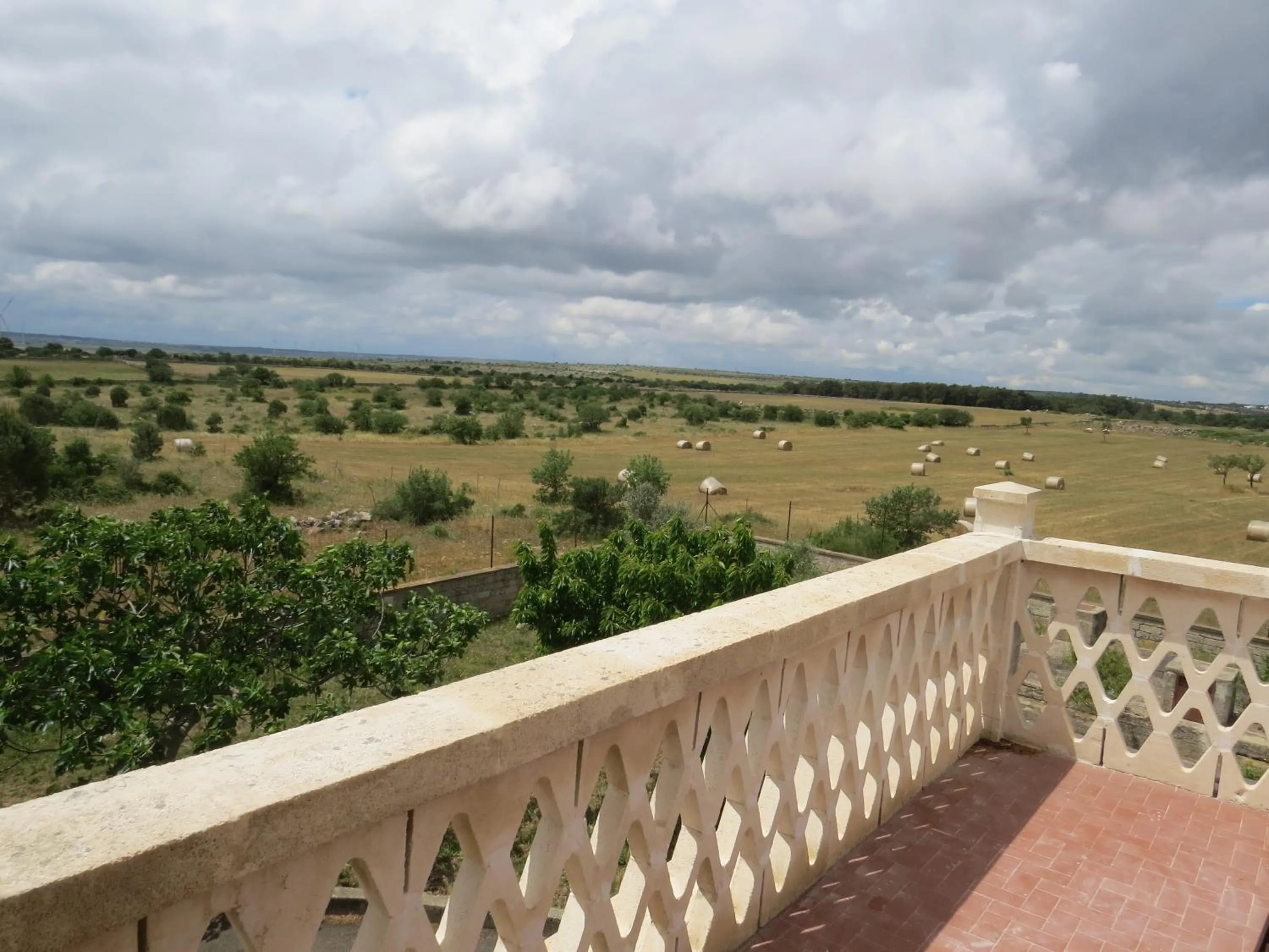 Natural landscape in Villa 2 Fields