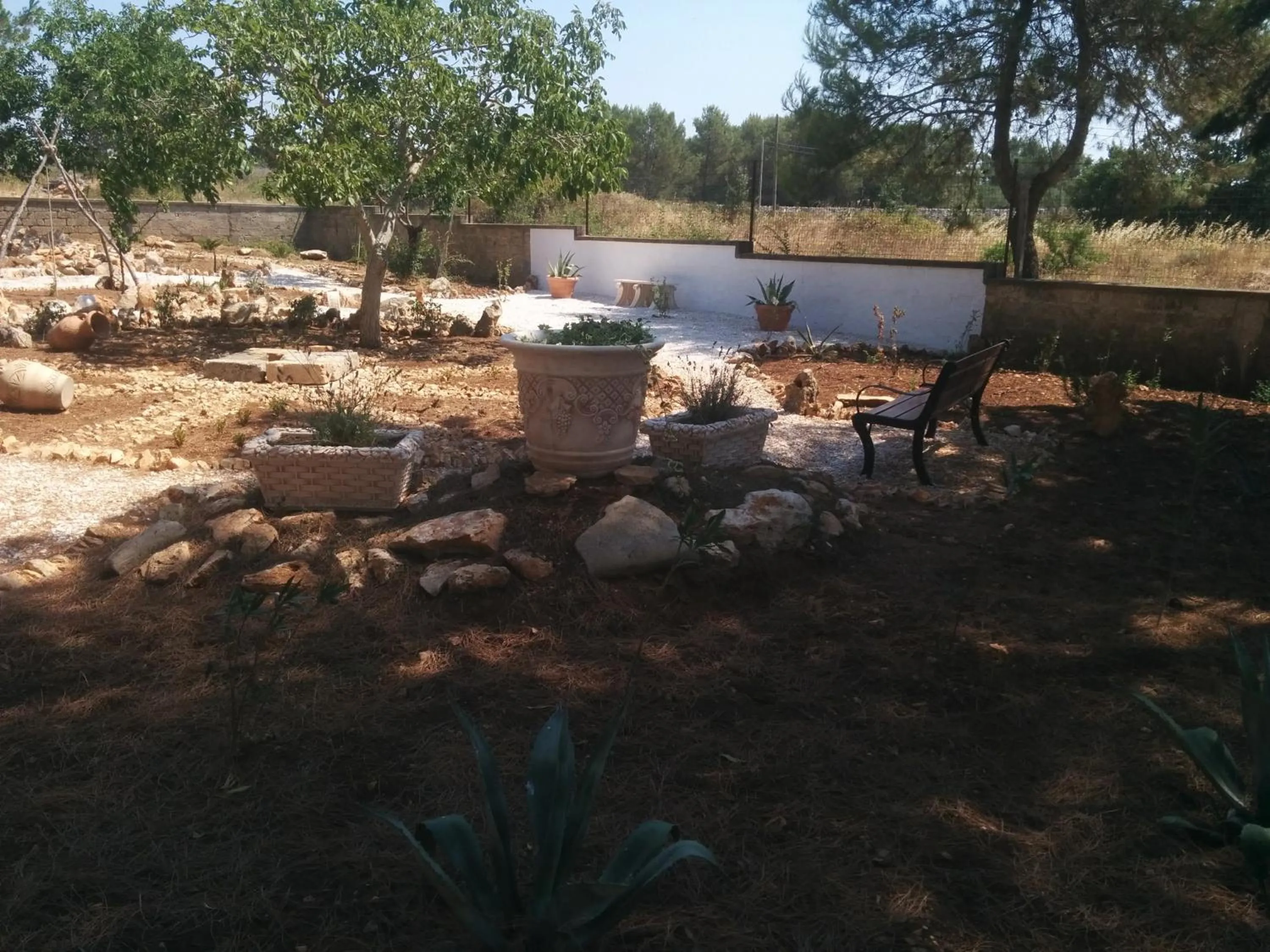 Garden in Villa 2 Fields