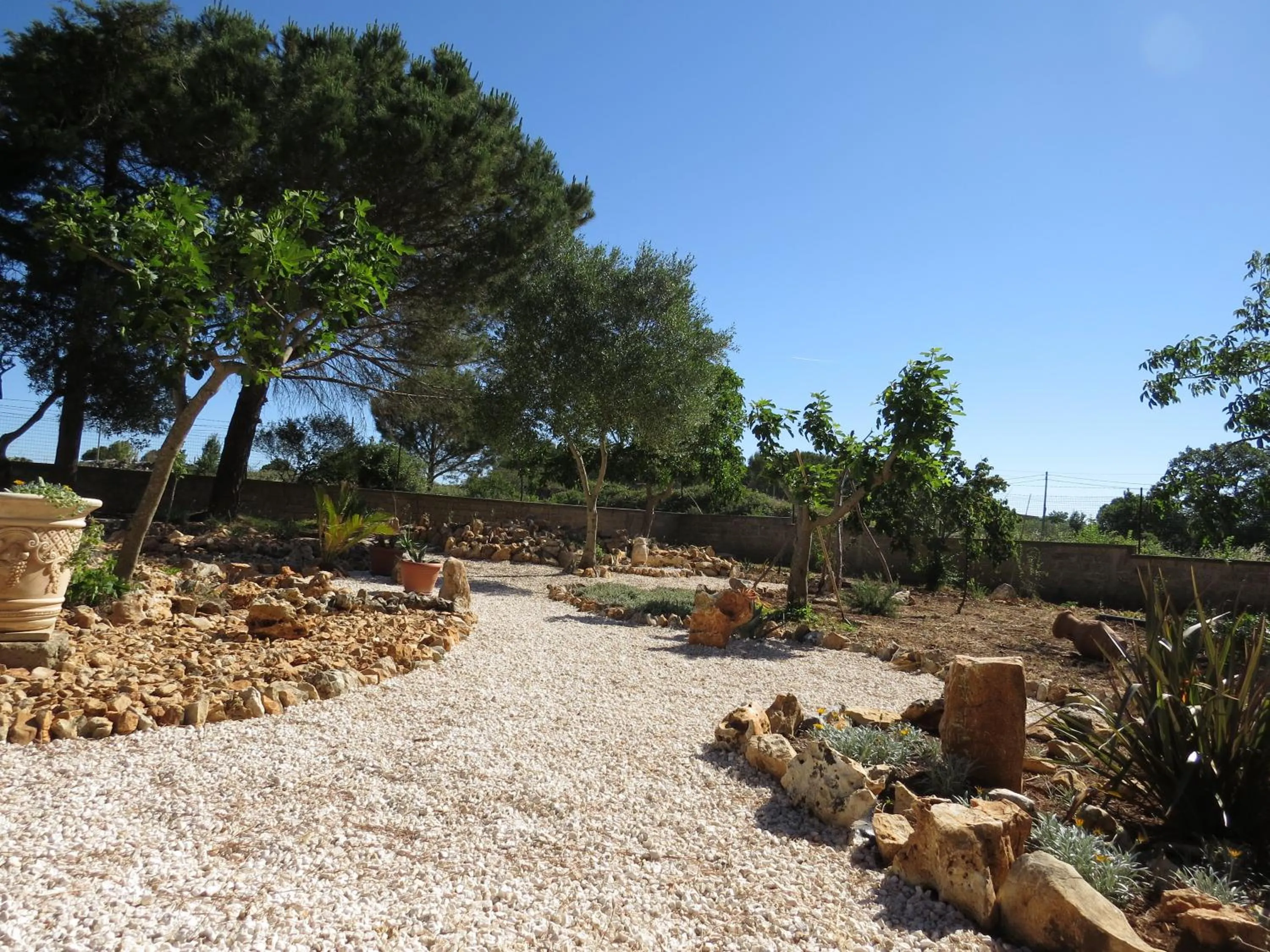 Natural landscape in Villa 2 Fields