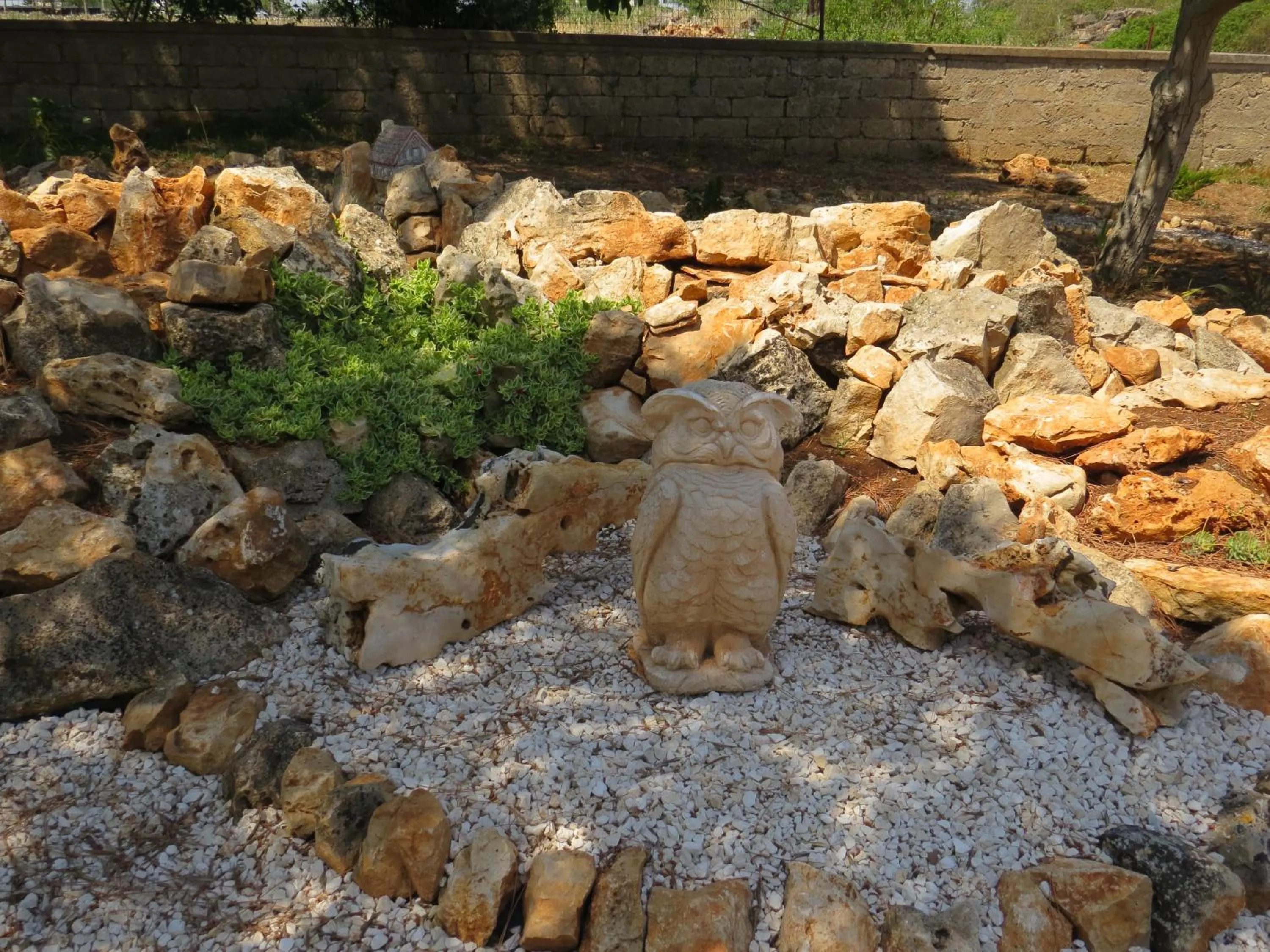 Garden in Villa 2 Fields