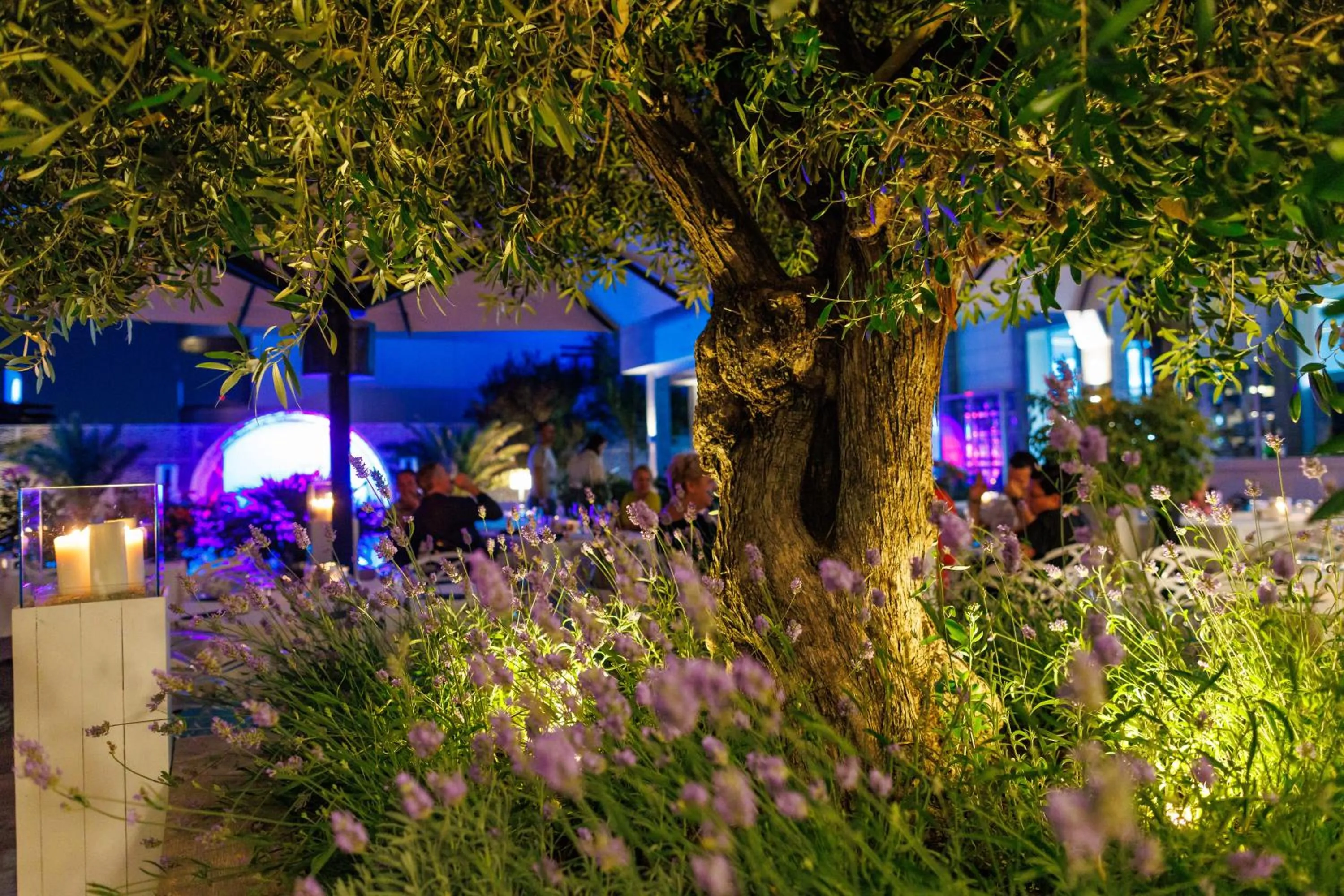 Restaurant/places to eat in Hotel Opera Mamaia