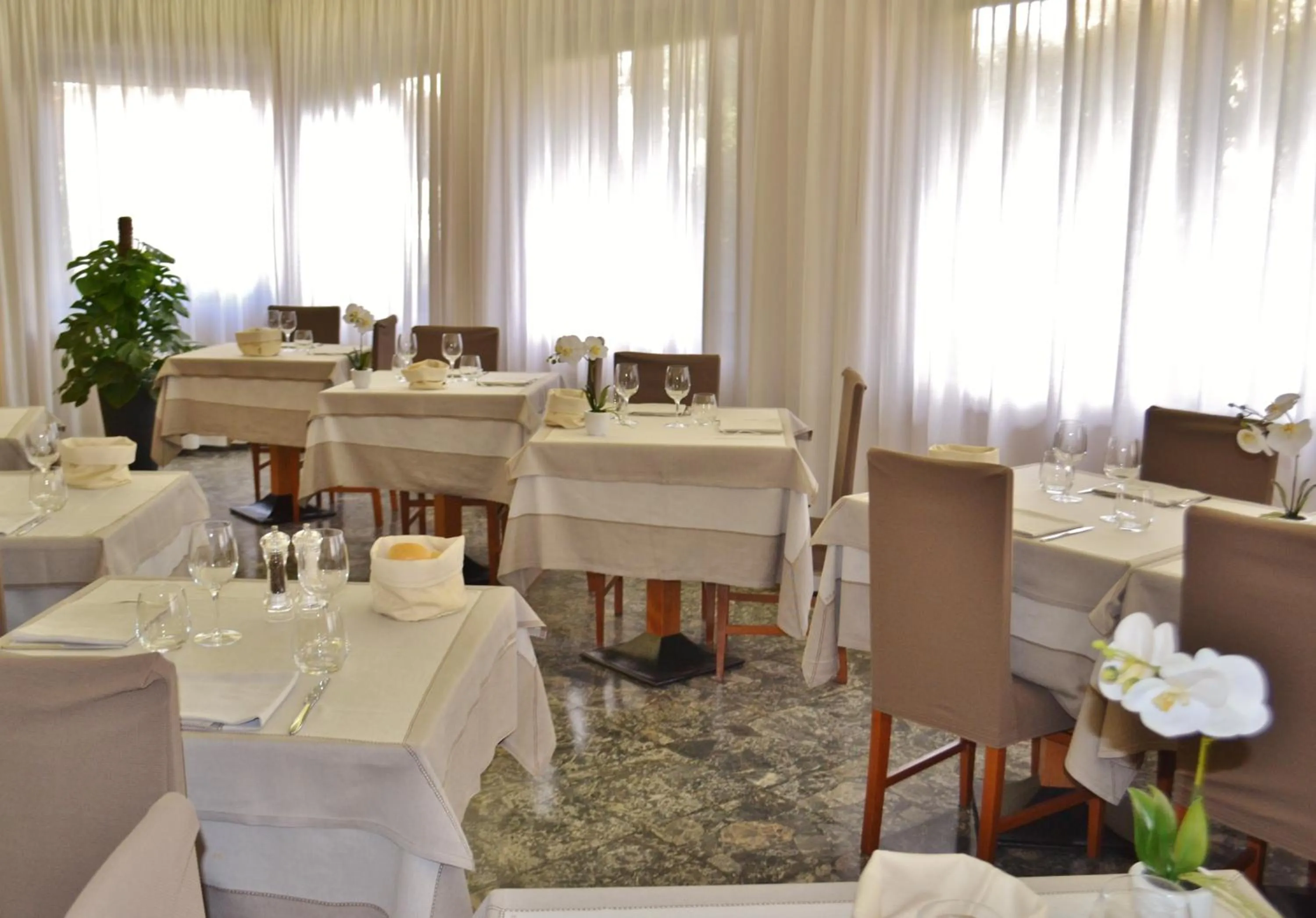 Restaurant/places to eat in Gold Hotel