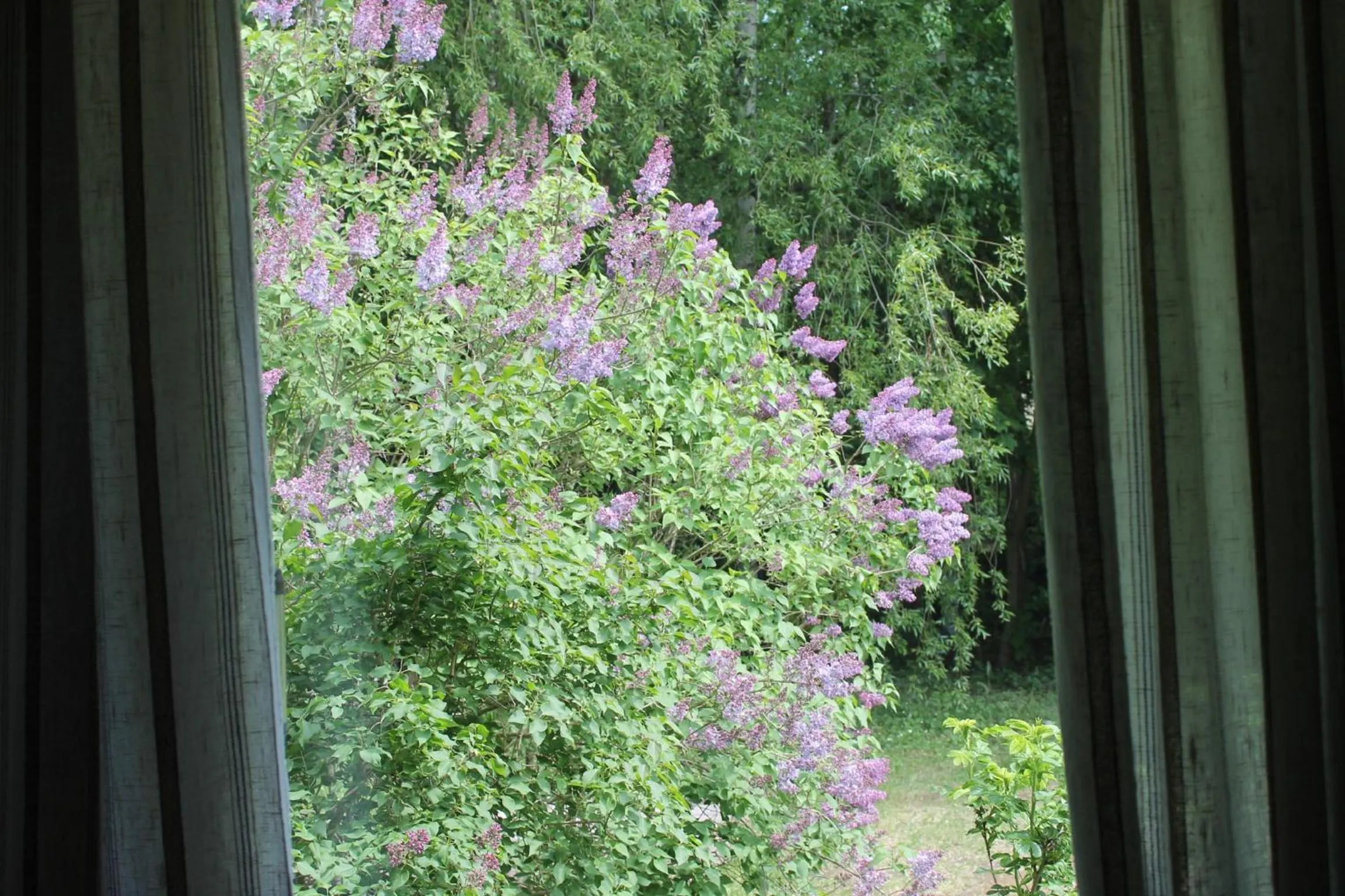 Decorative detail in Guesthouse - Kuin Kotonaan