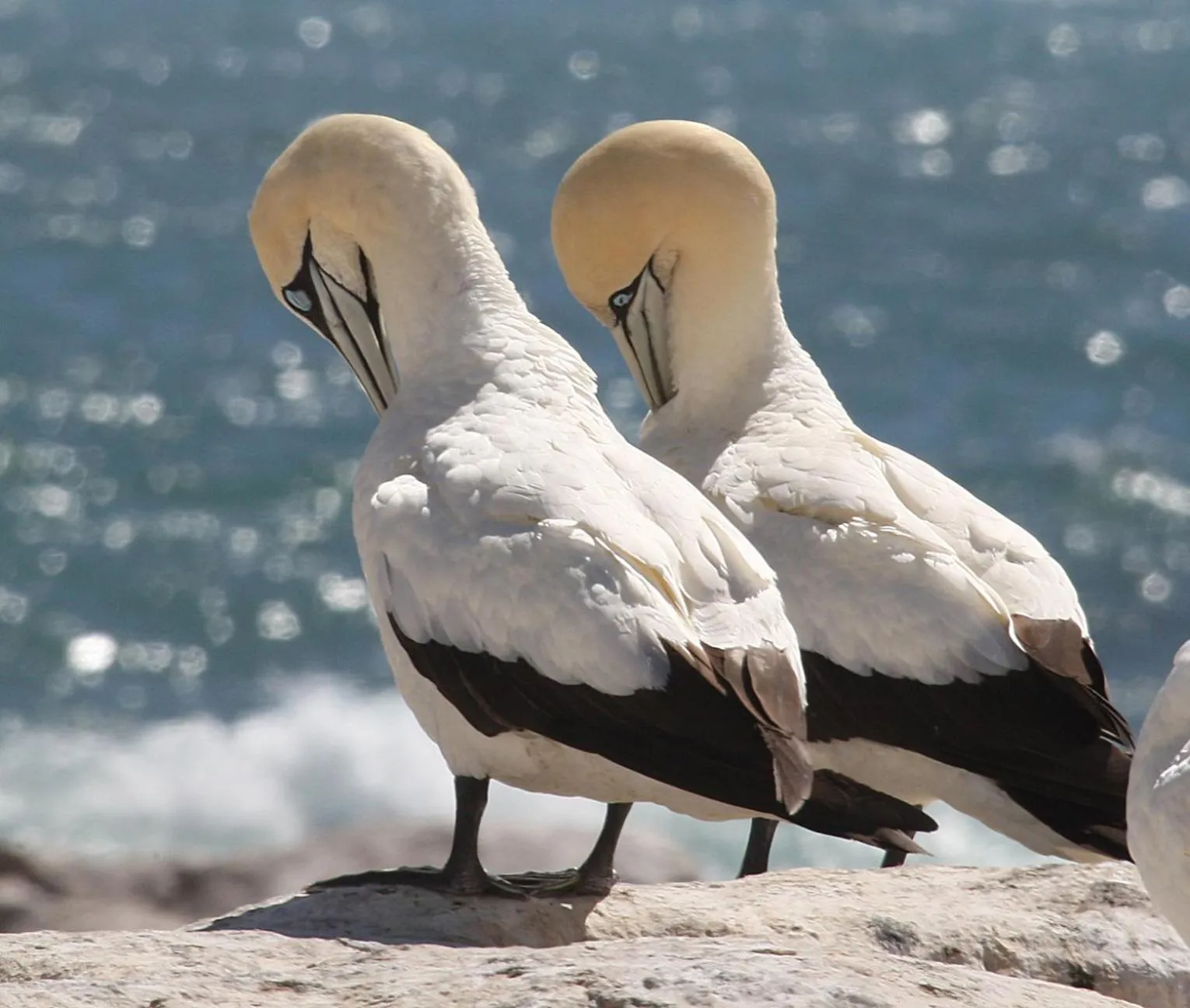 Day in Lamberts Bay Hotel