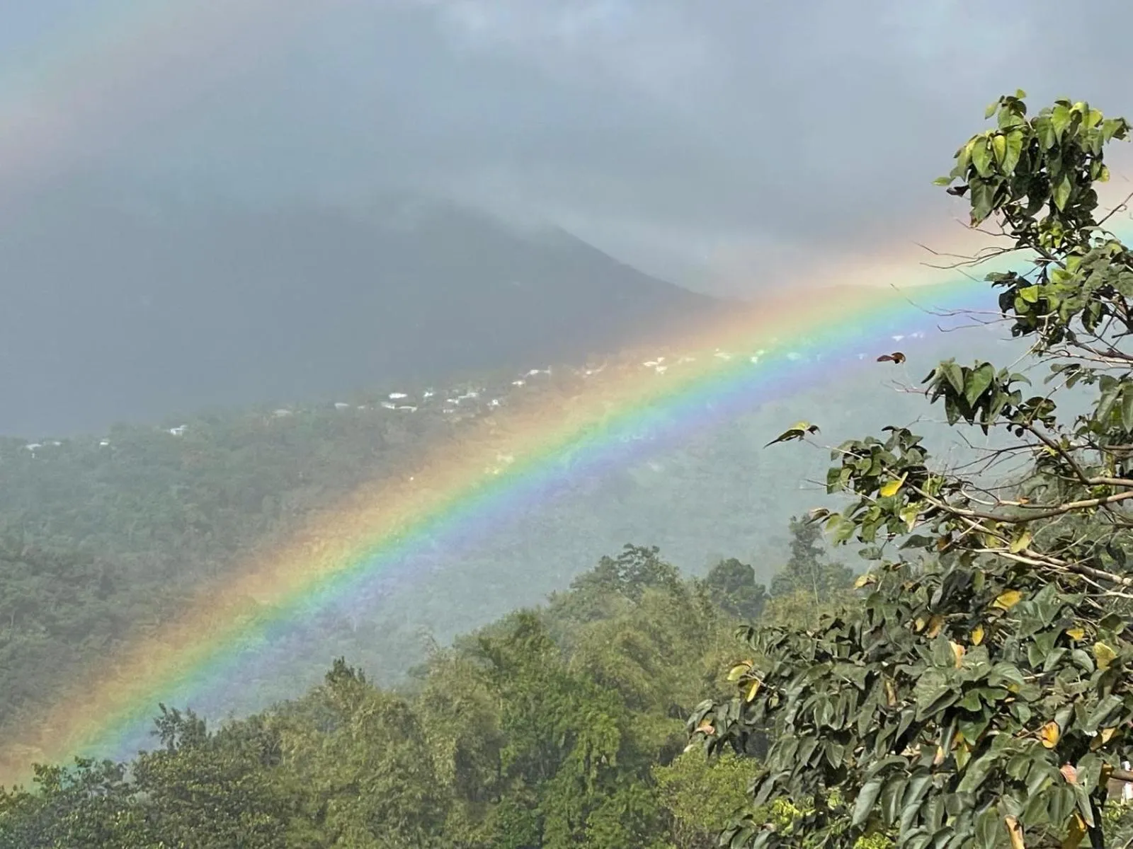 Matthew's Miracle View