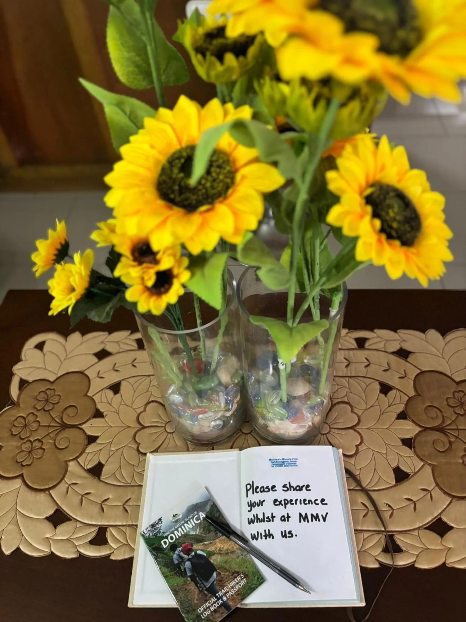 Matthew's Miracle View