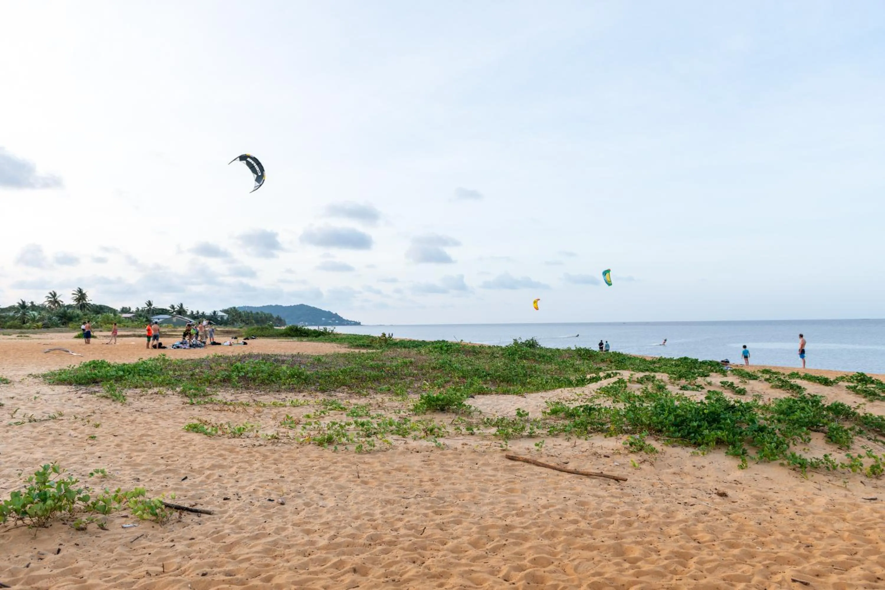 Natural landscape in The Originals City, Hôtel Belova, Cayenne Sud