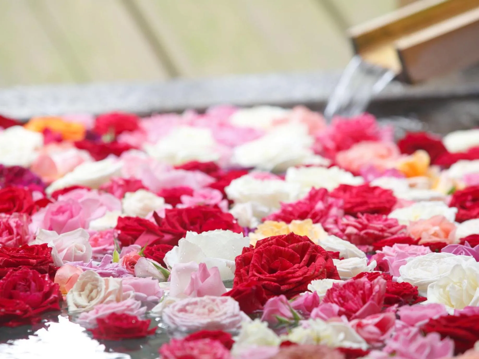 Hot Spring Bath in Arima Grand Hotel
