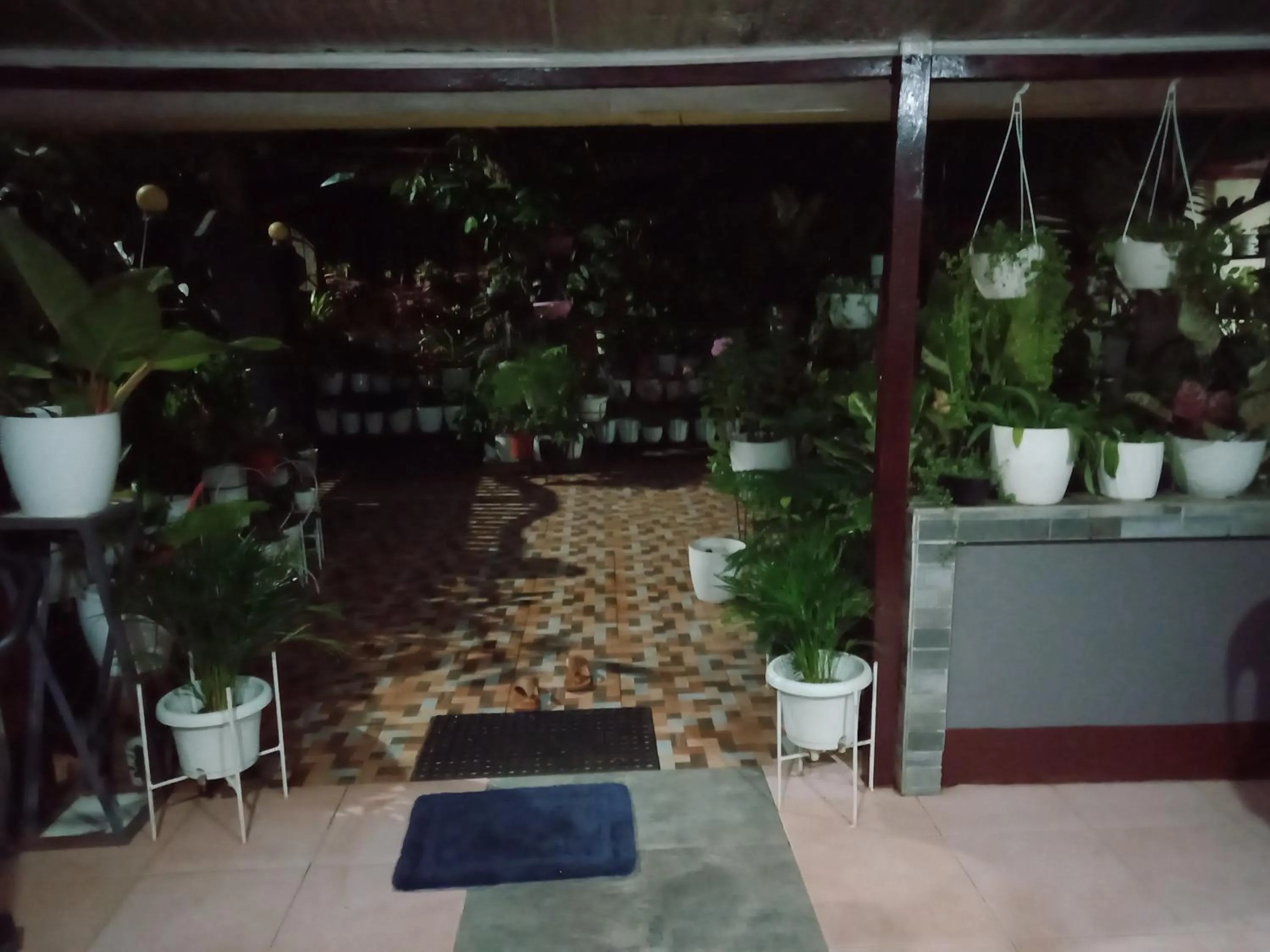 Garden view in Dalinda's Homestay