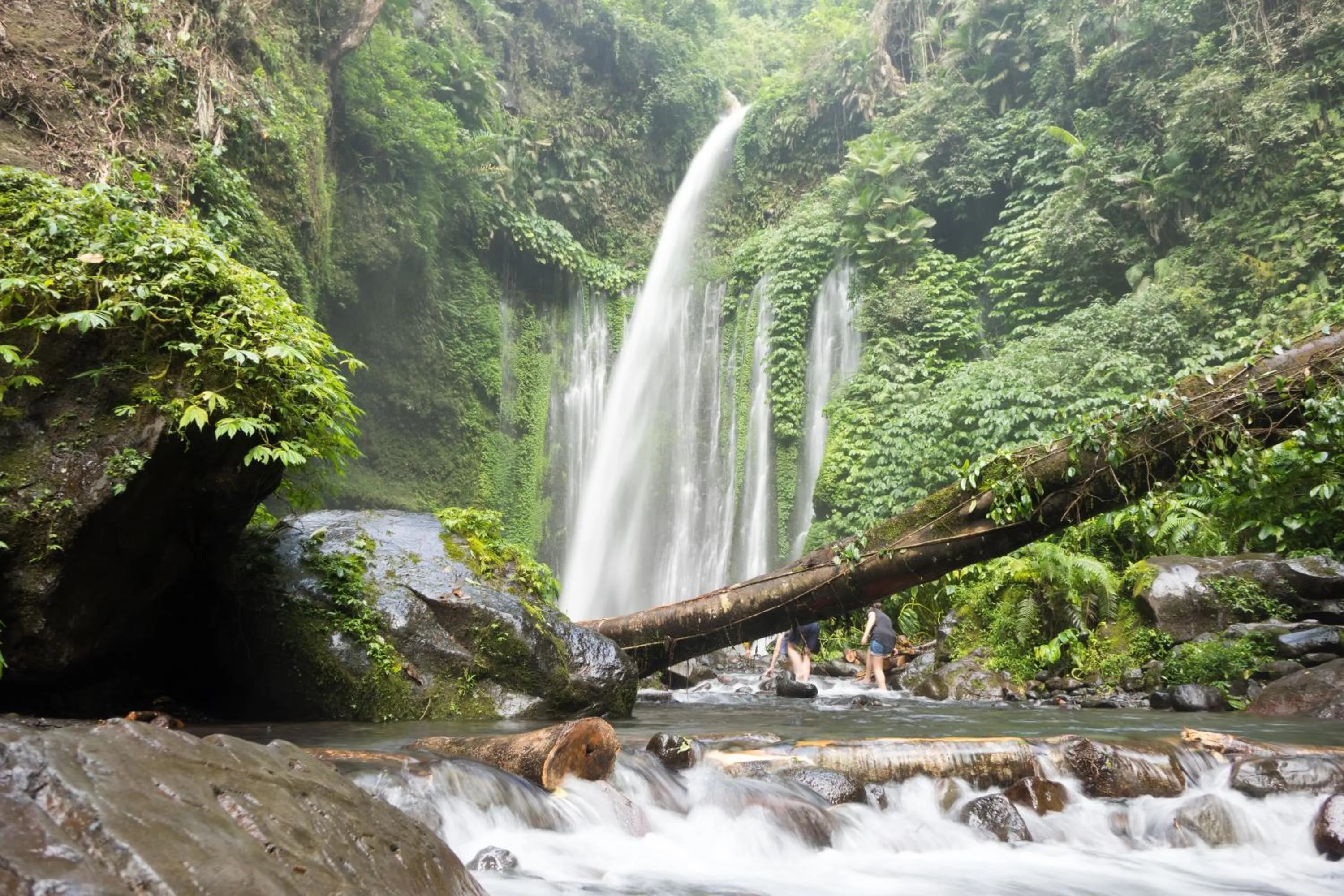 River view in Bidara Cottage